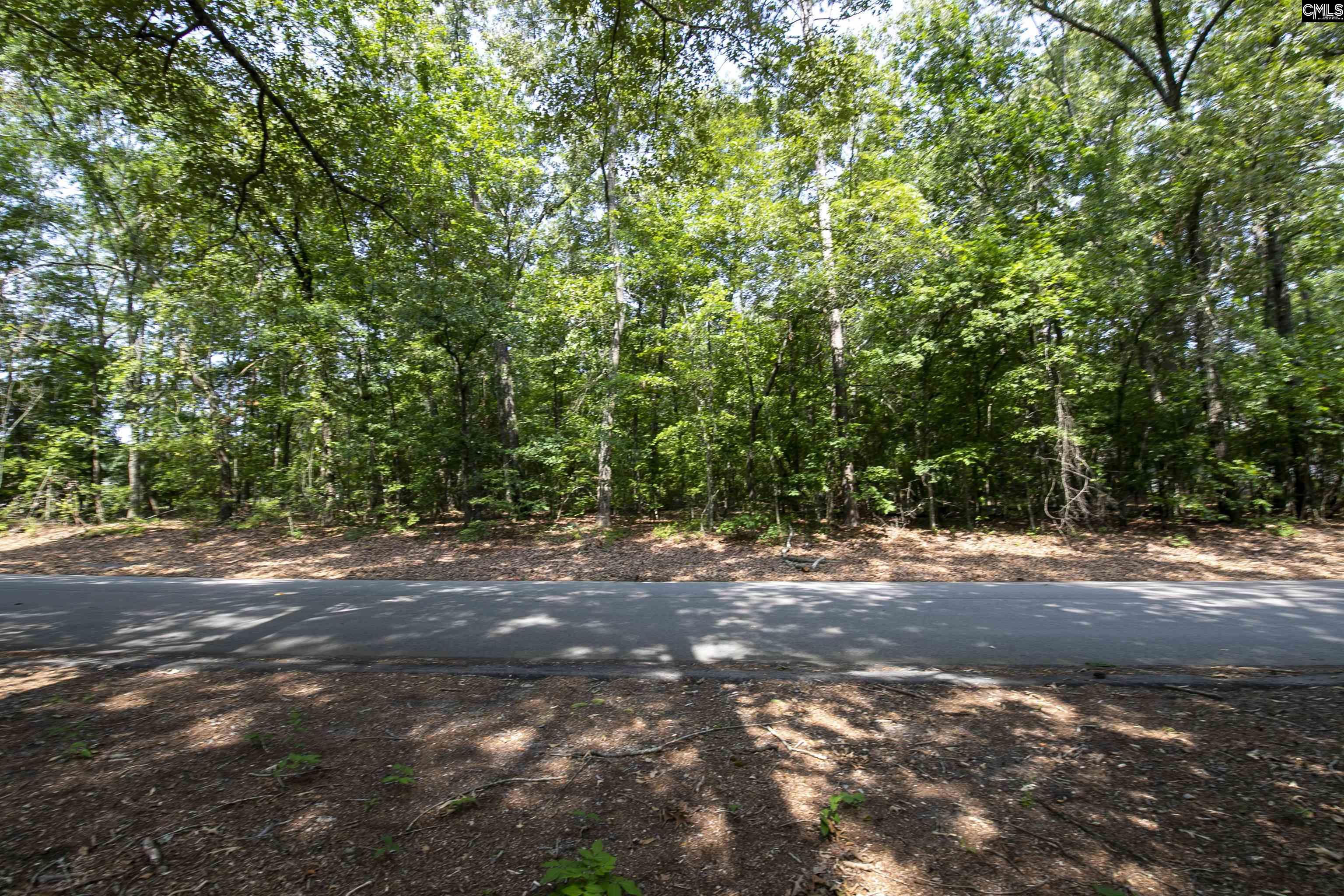 416 Pine Needle Circle Gaston, SC 29053-8364
