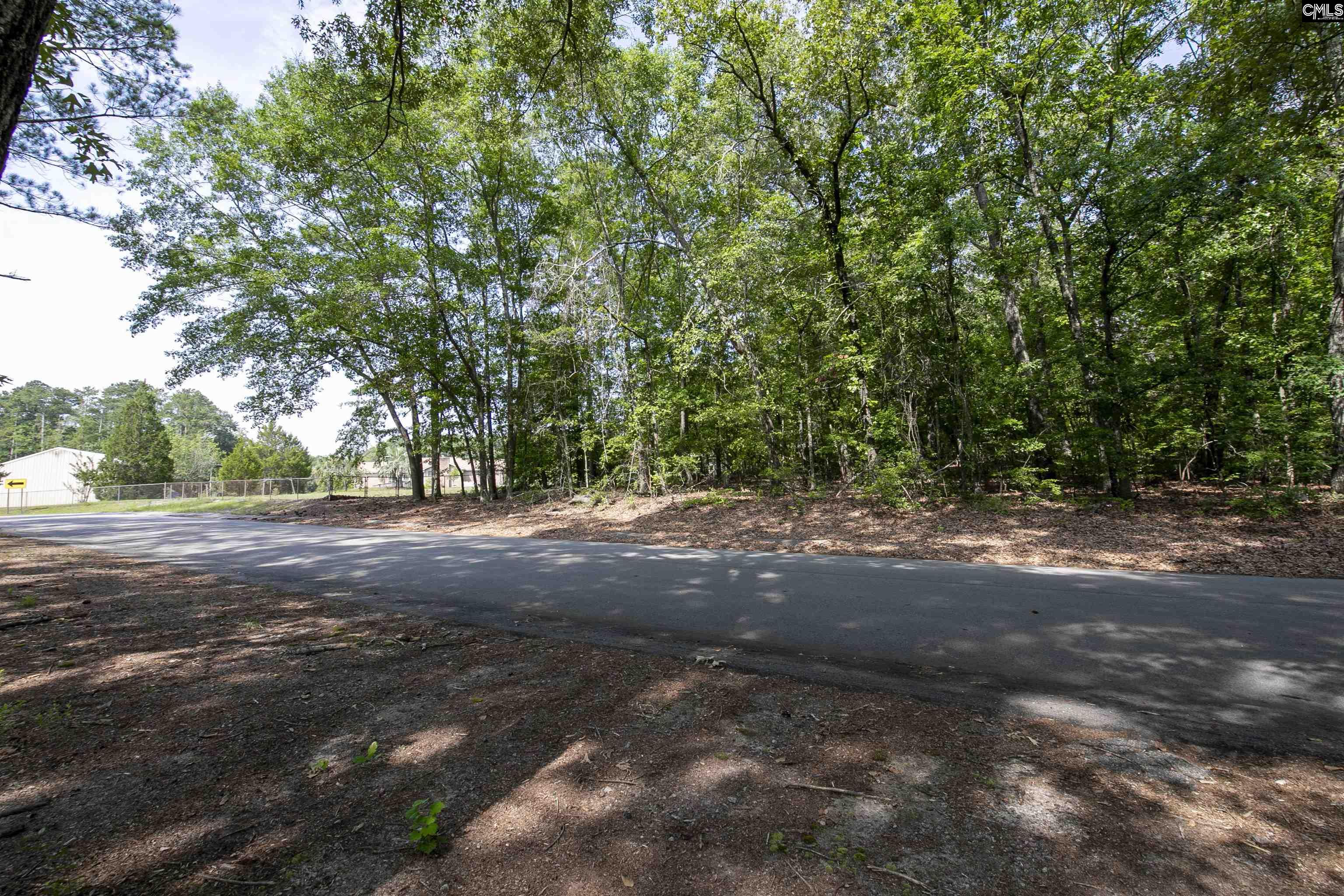 416 Pine Needle Circle Gaston, SC 29053-8364