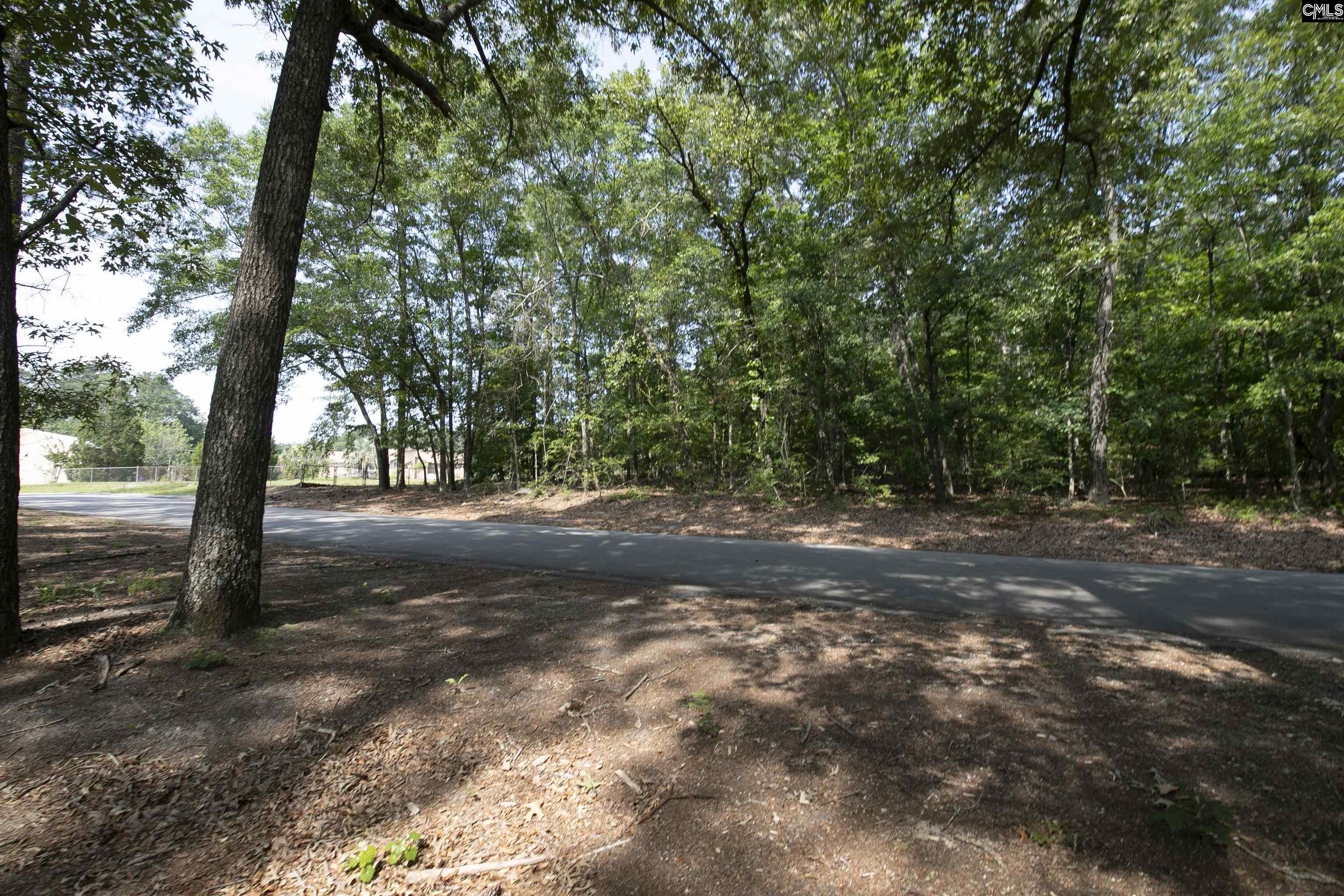 416 Pine Needle Circle Gaston, SC 29053-8364