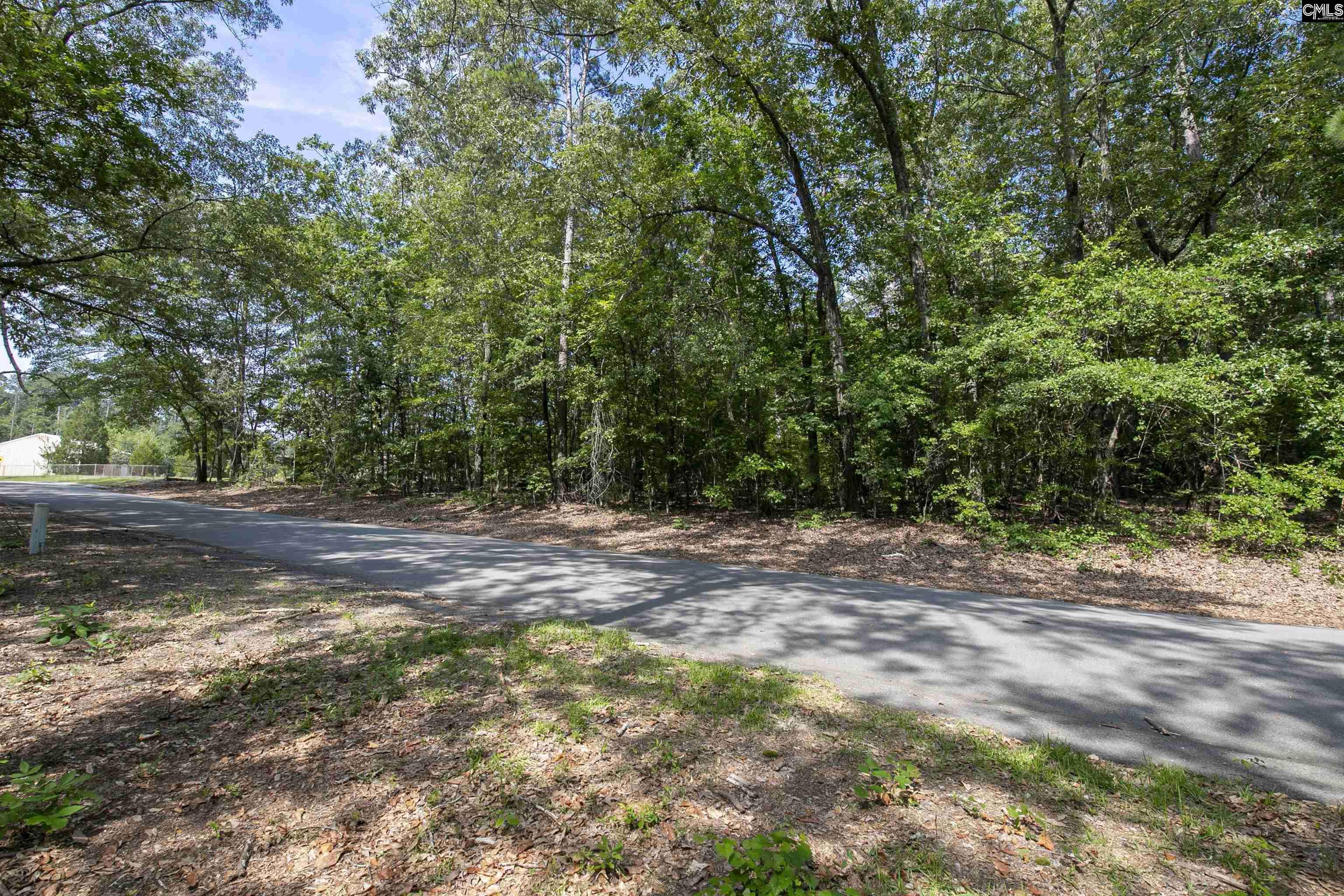 416 Pine Needle Circle Gaston, SC 29053-8364