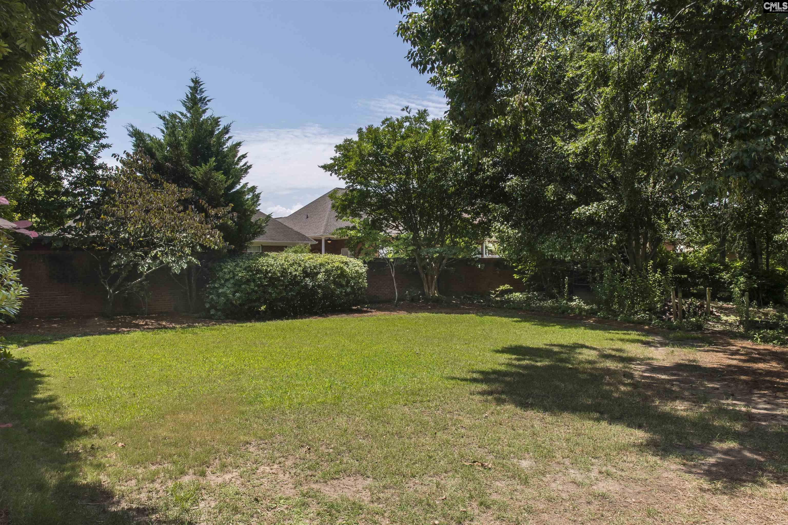 110 Lake Hilton Drive, Chapin, South Carolina image 36