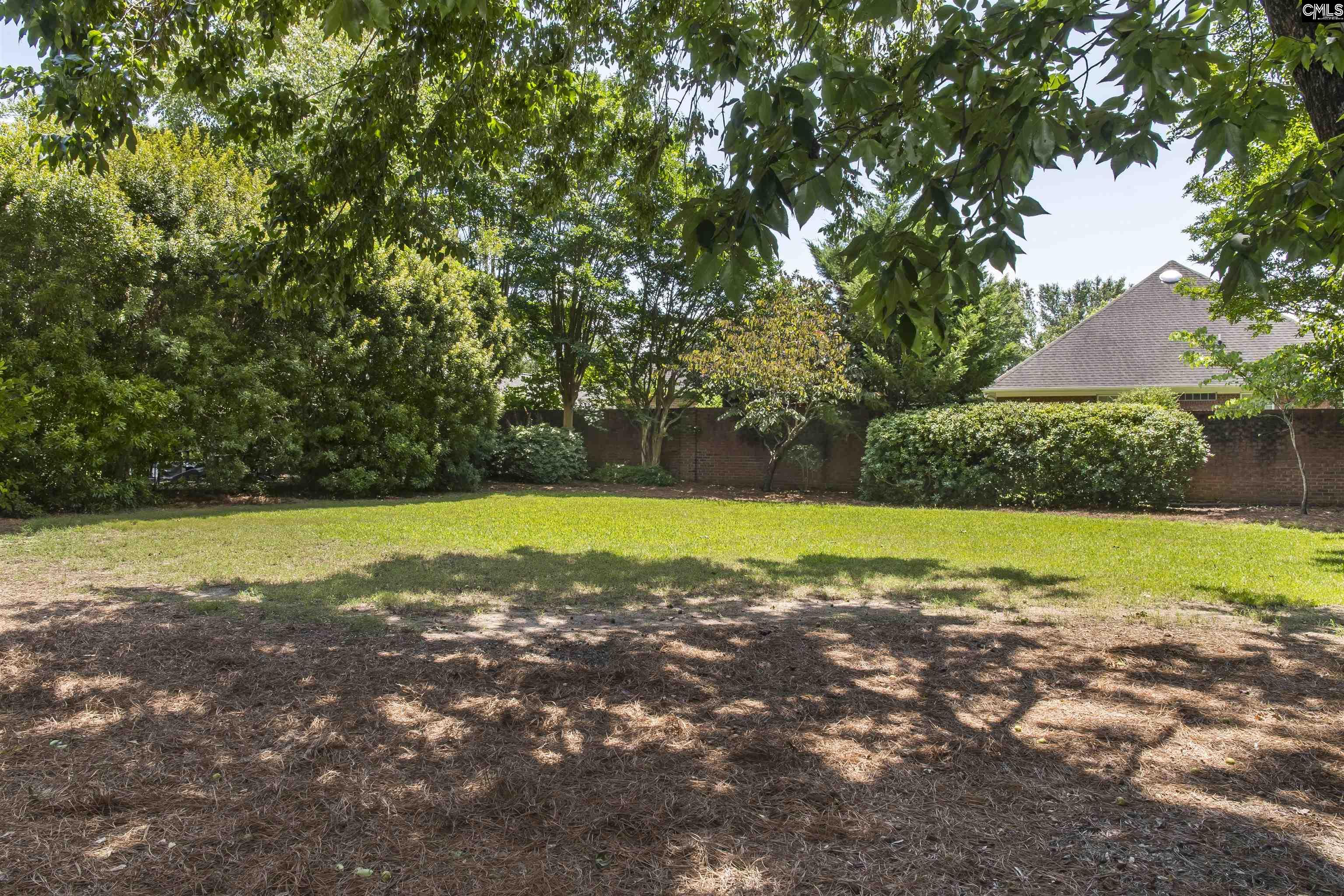 110 Lake Hilton Drive, Chapin, South Carolina image 37
