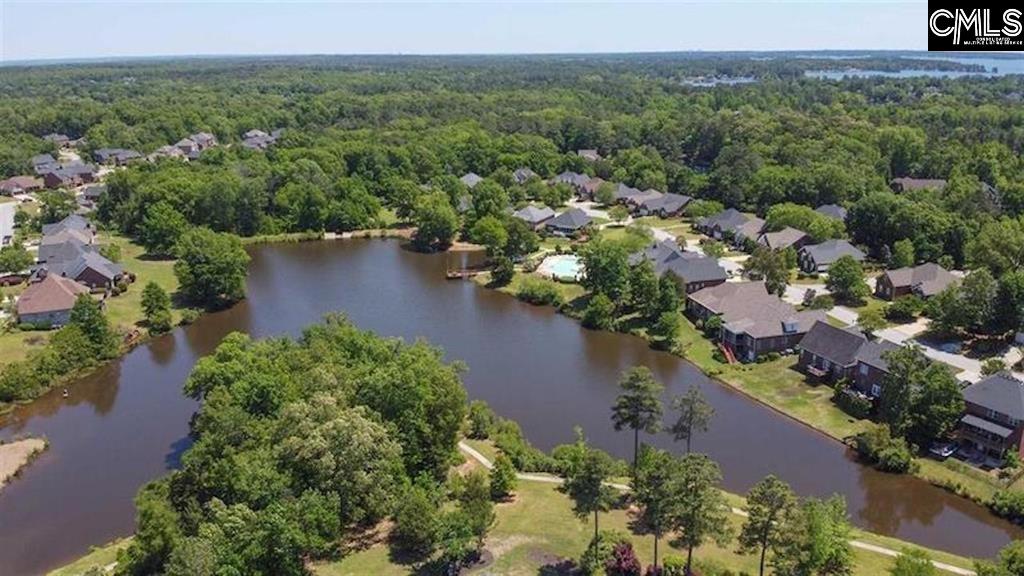 110 Lake Hilton Drive, Chapin, South Carolina image 39