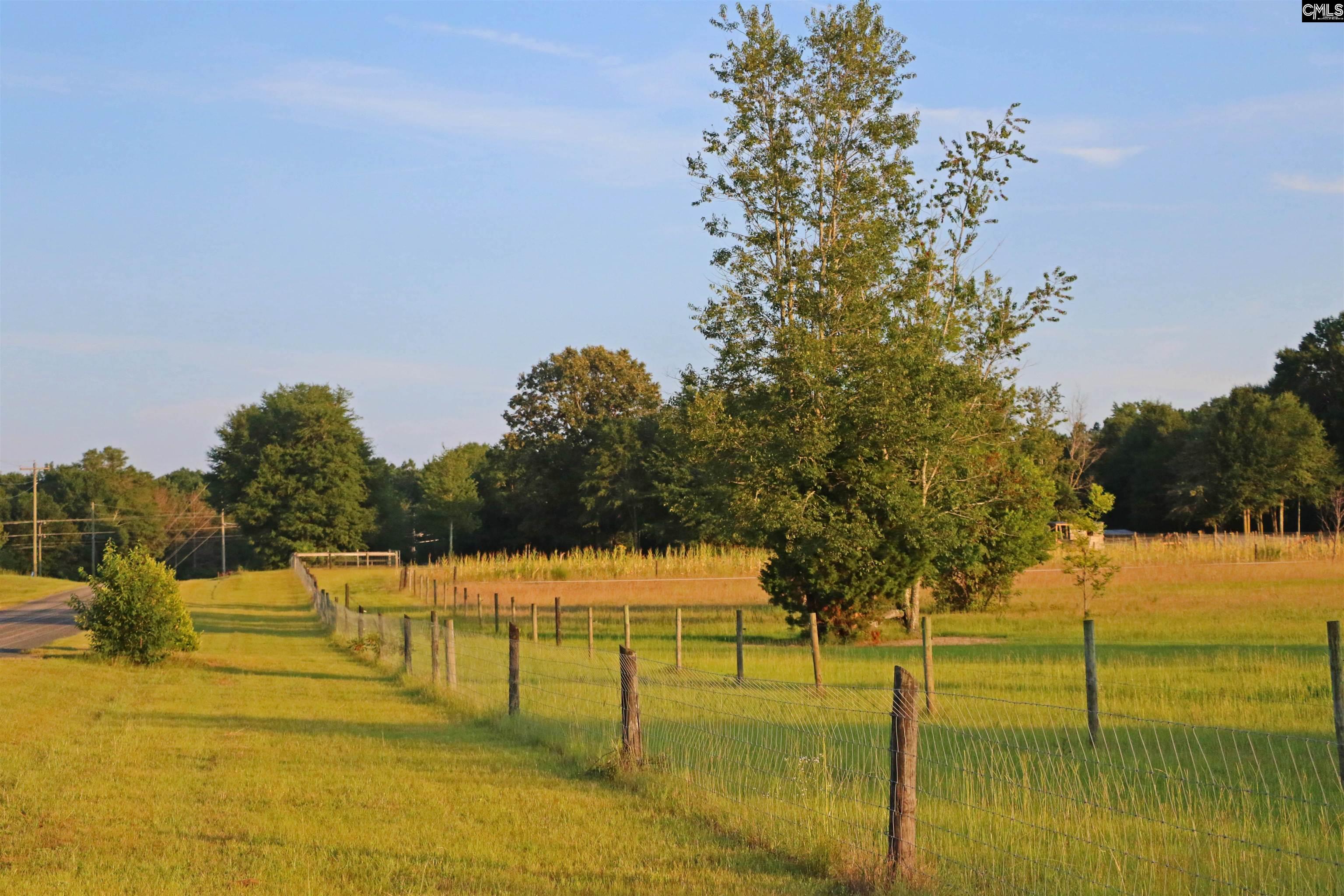 TBD Poinsettia Road, Wagener, South Carolina image 2