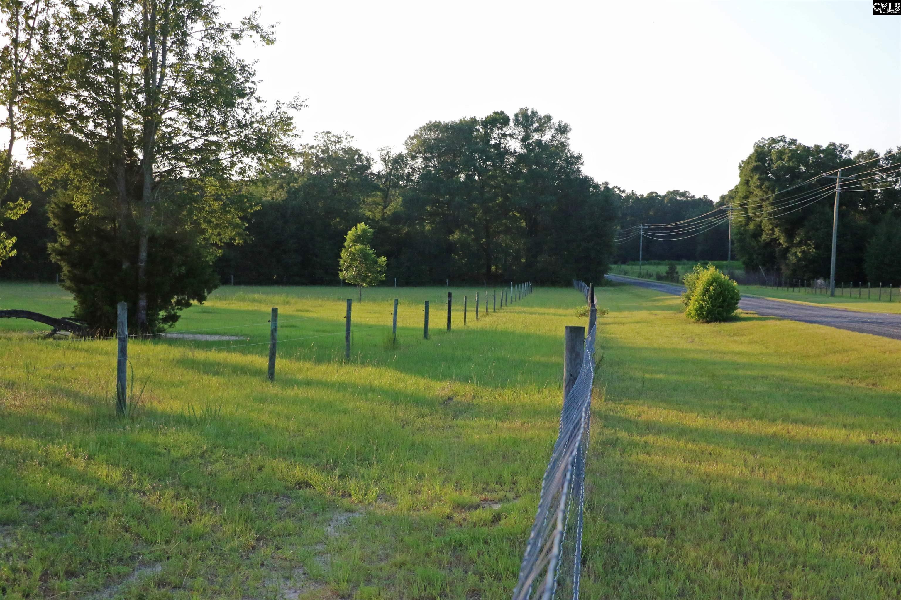 TBD Poinsettia Road, Wagener, South Carolina image 11