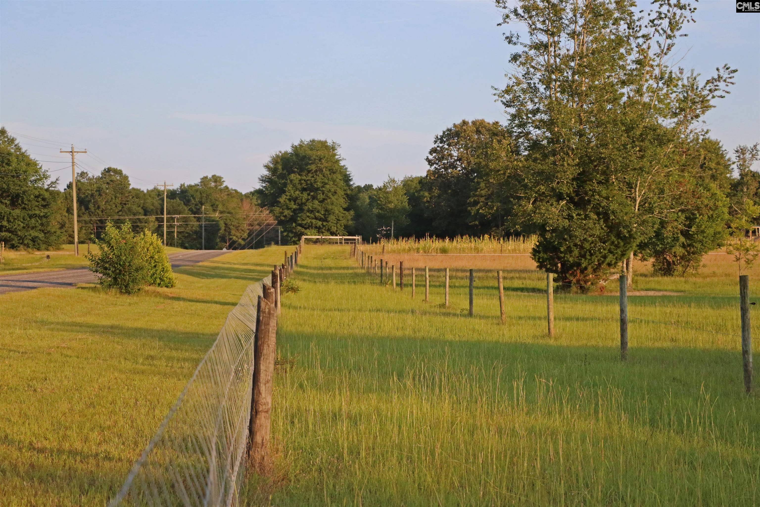 TBD Poinsettia Road, Wagener, South Carolina image 3