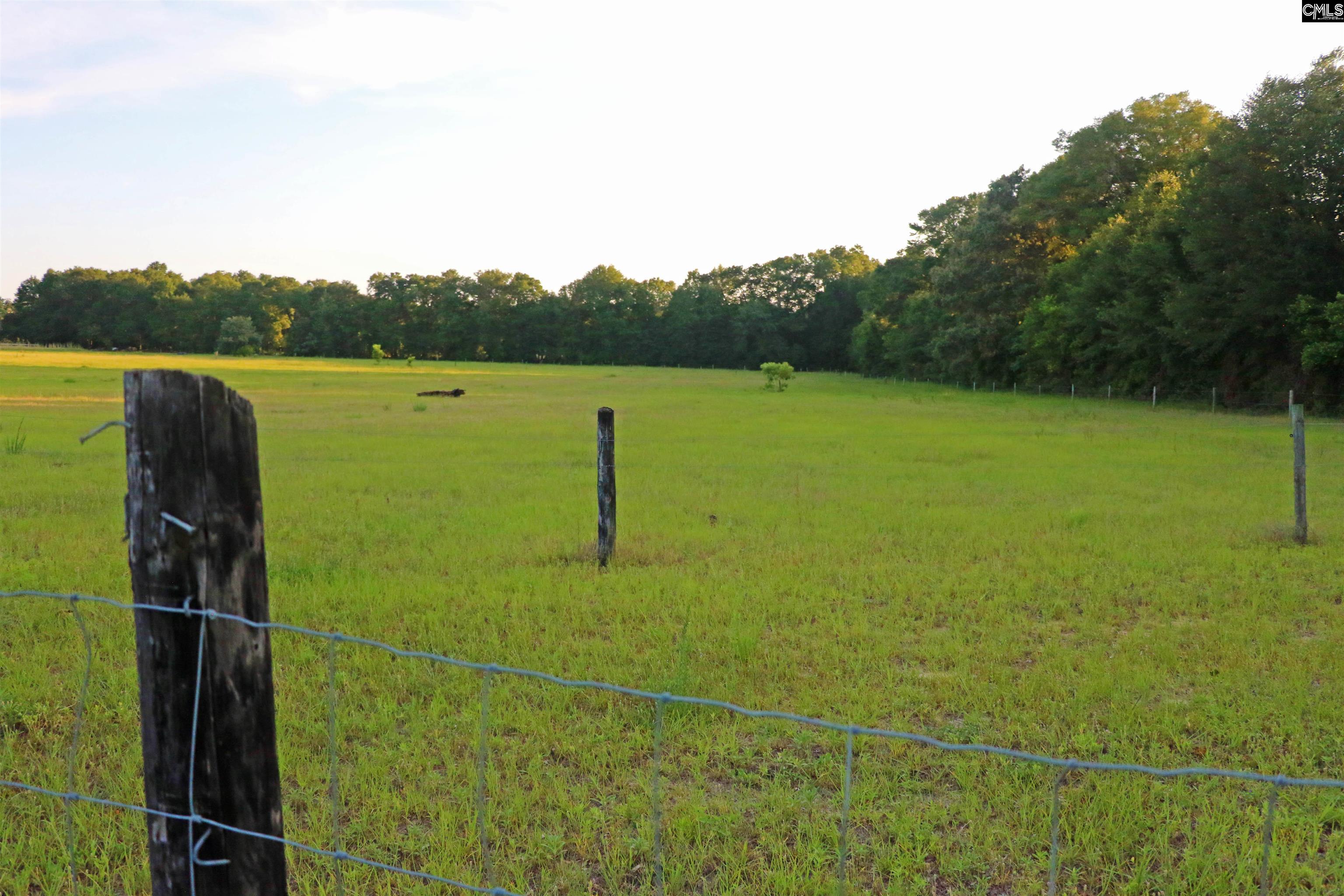 TBD Poinsettia Road, Wagener, South Carolina image 5