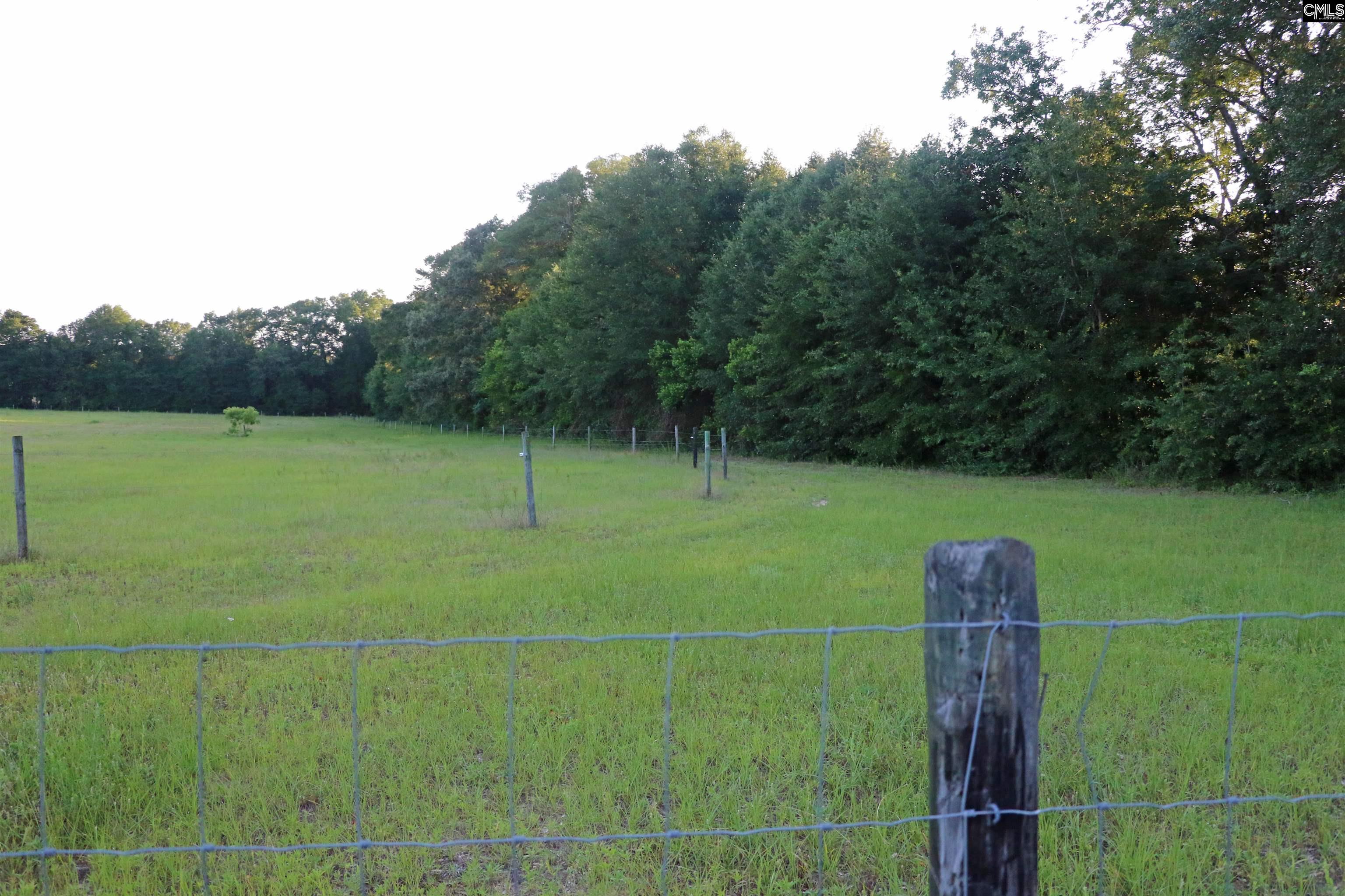 TBD Poinsettia Road, Wagener, South Carolina image 6