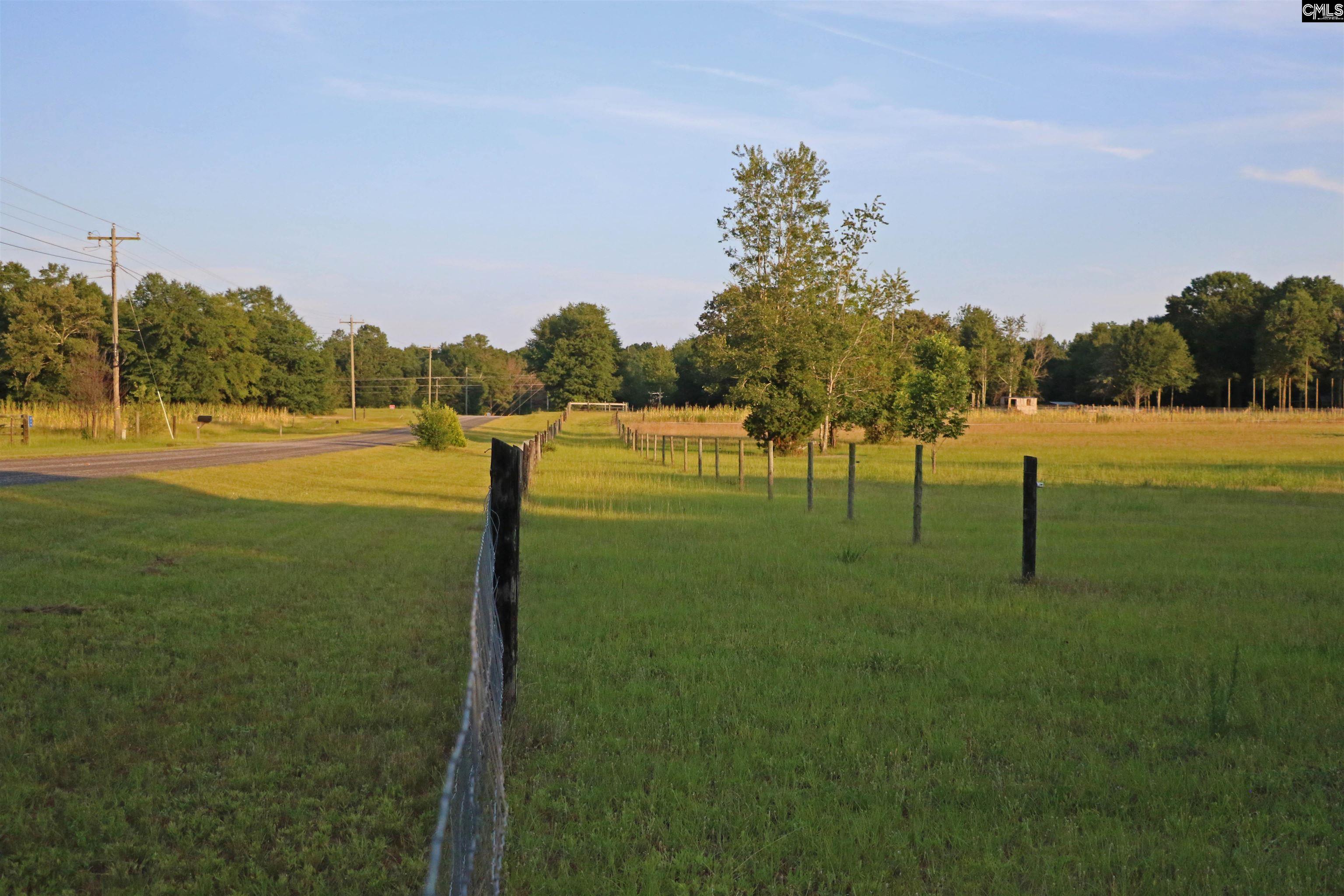 TBD Poinsettia Road, Wagener, South Carolina image 7