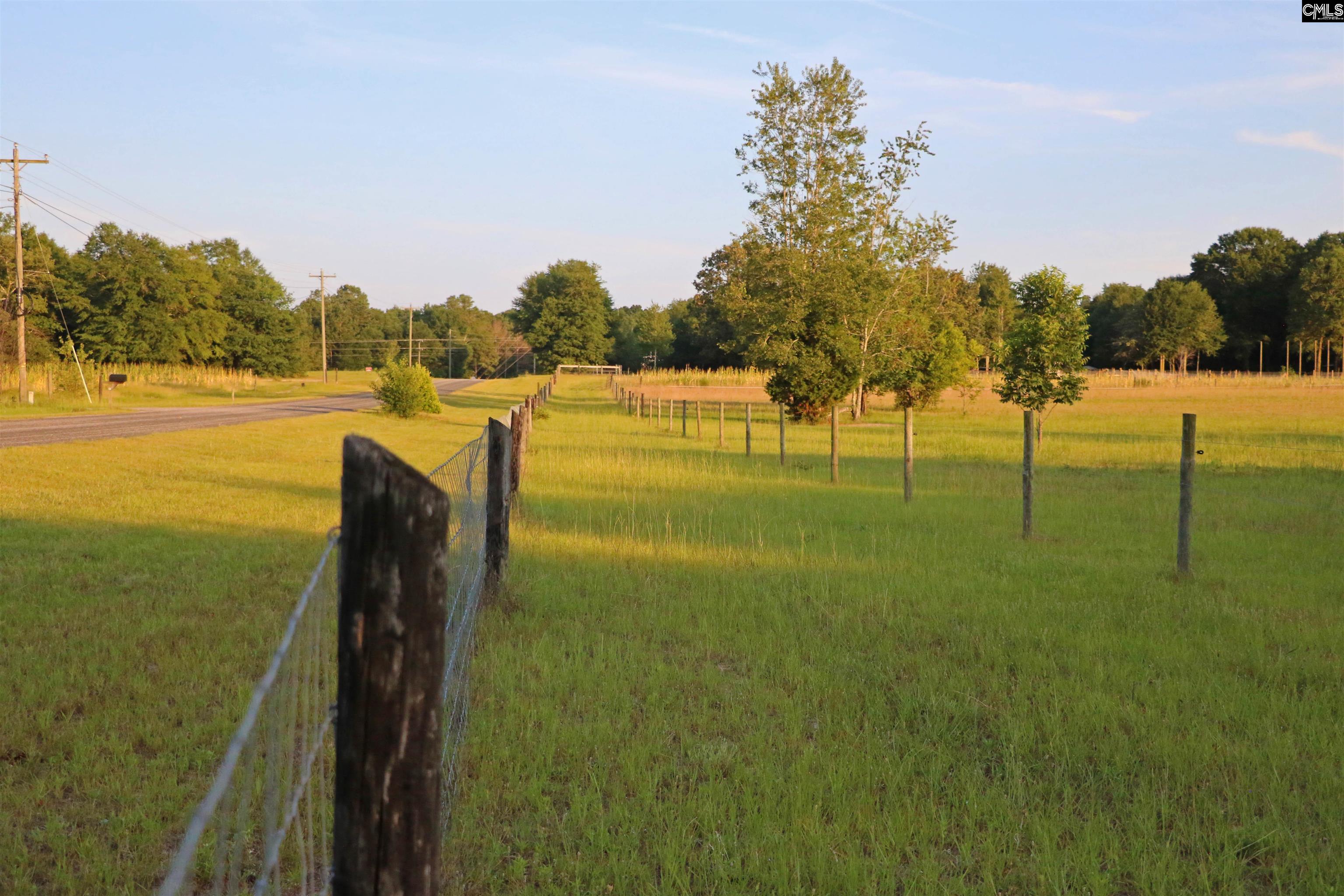 TBD Poinsettia Road, Wagener, South Carolina image 8