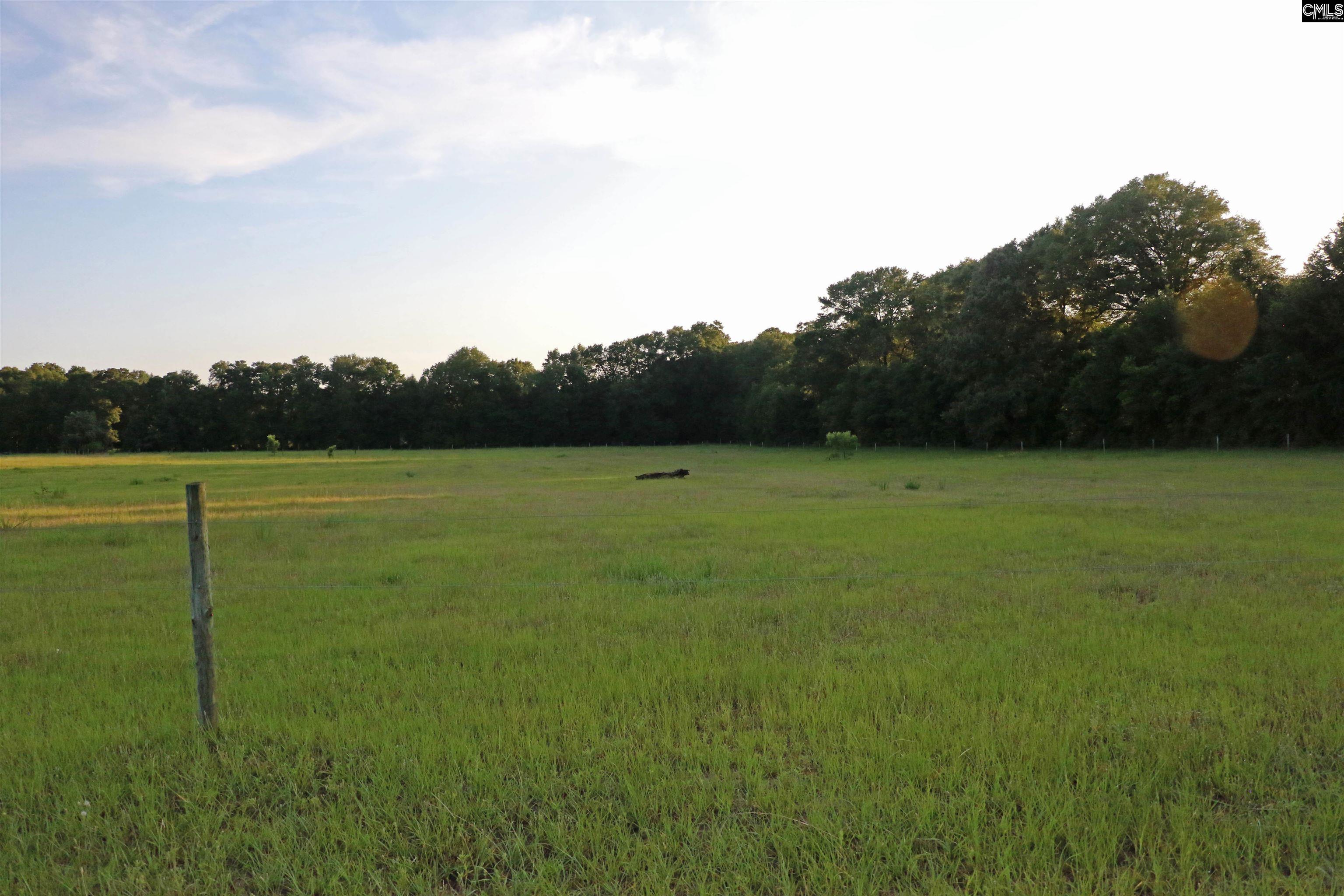 TBD Poinsettia Road, Wagener, South Carolina image 9