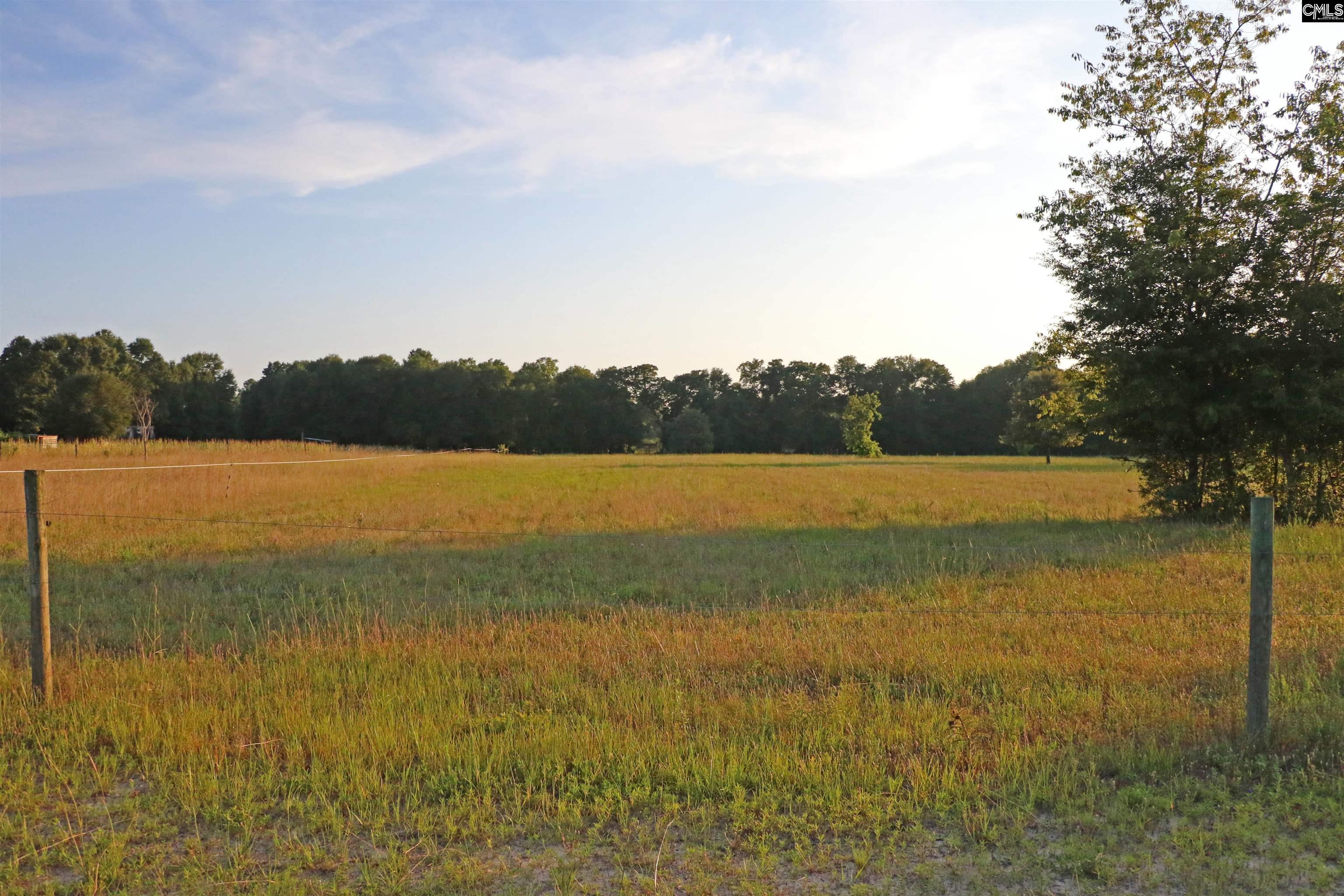TBD Poinsettia Road, Wagener, South Carolina image 10