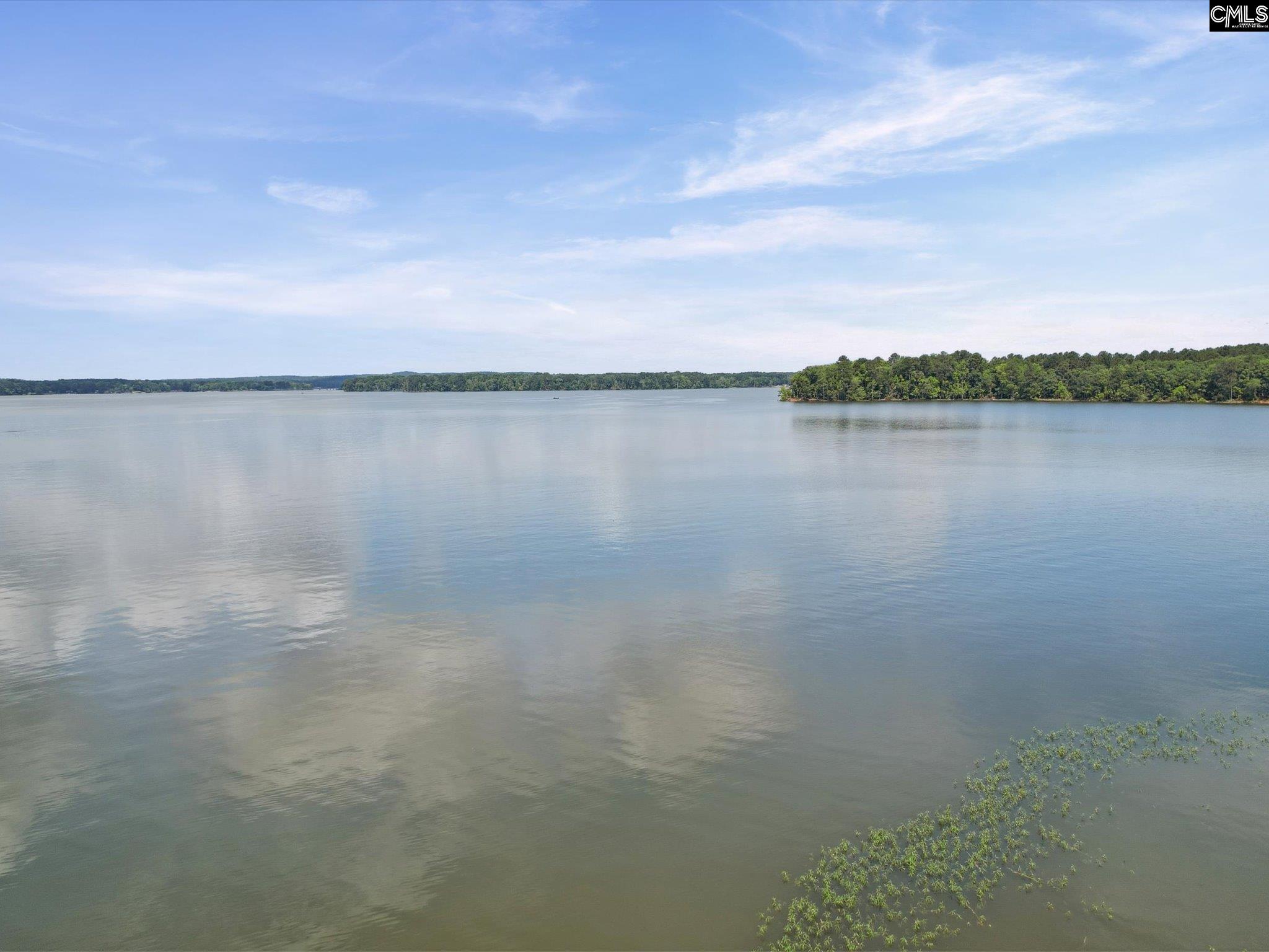 2442 Singleton Point Point, Liberty Hill, South Carolina image 46