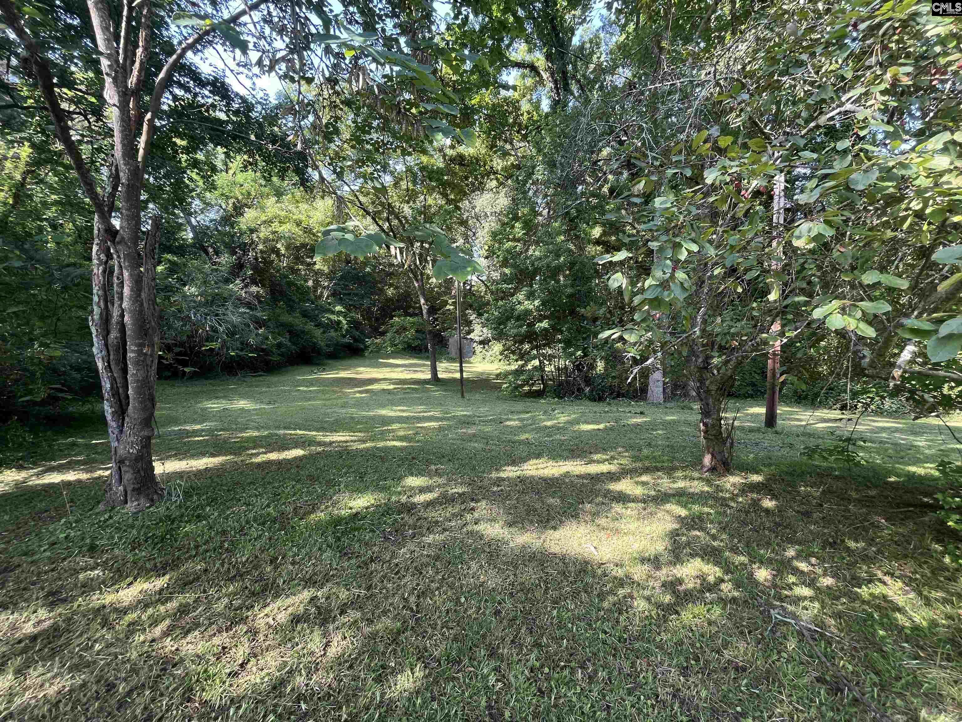 207 Forest Hills Drive, Winnsboro, South Carolina image 26