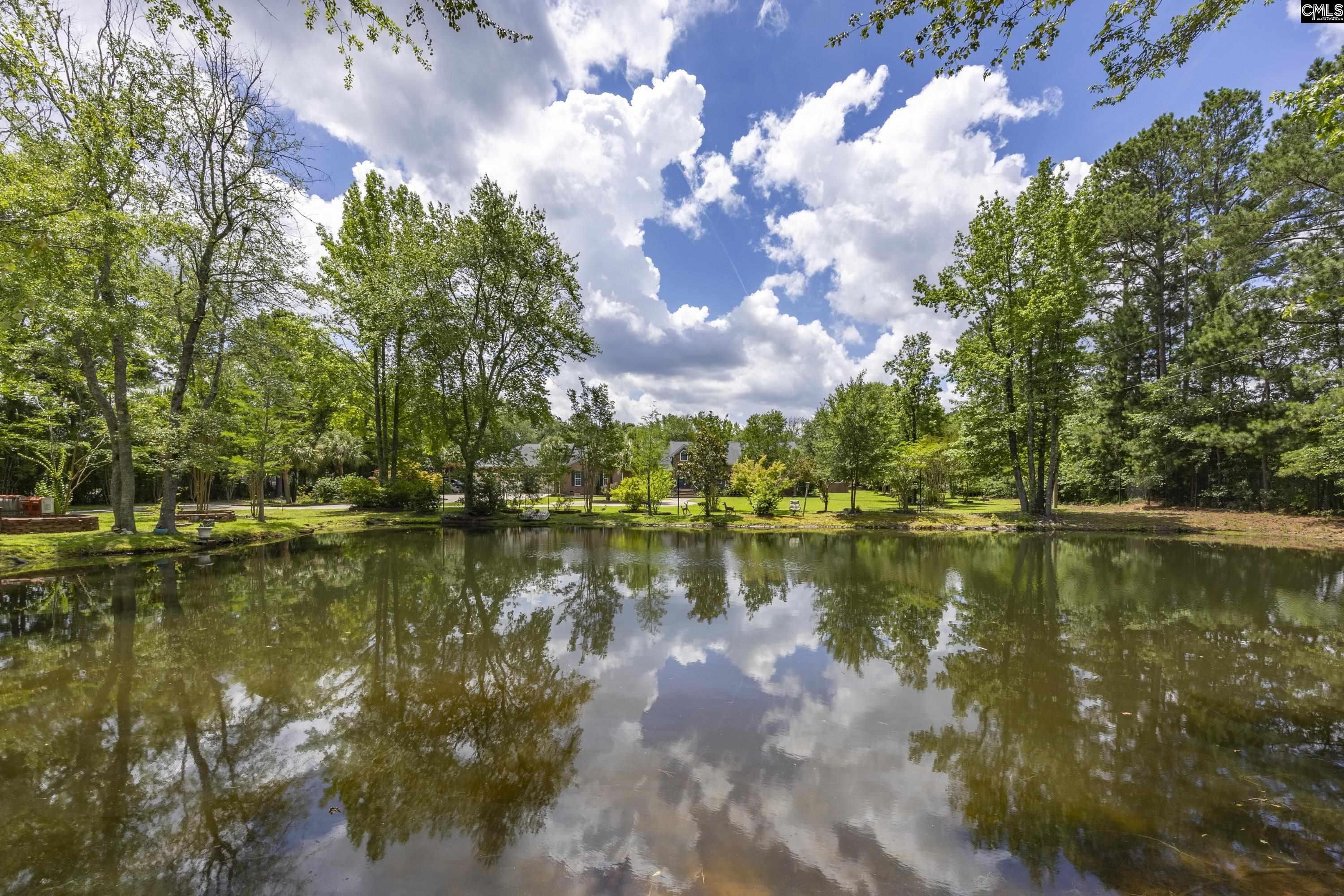 1113 N. Brickyard Road, Columbia, South Carolina image 34