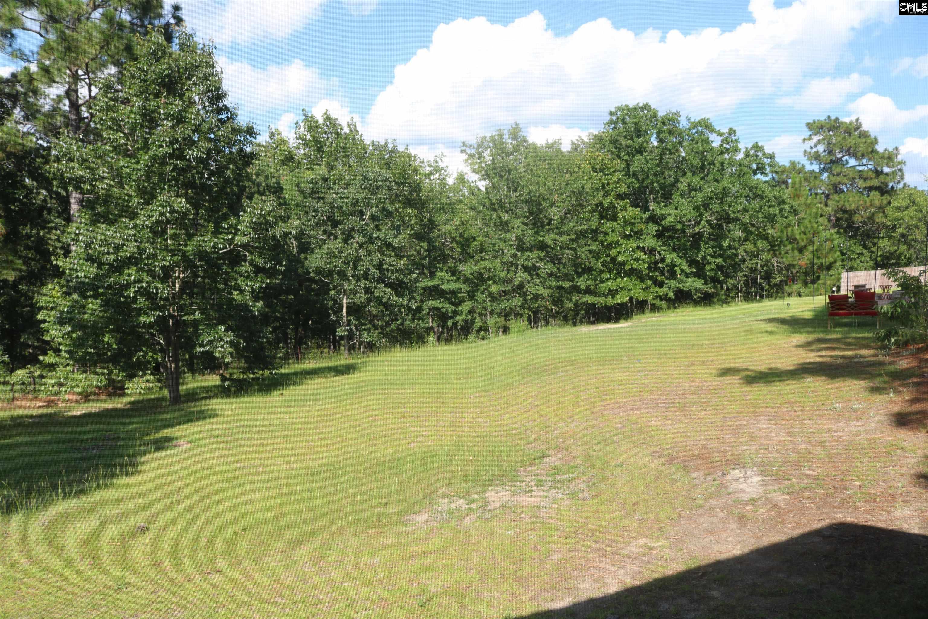 882 Heartleaf Drive, Columbia, South Carolina image 41