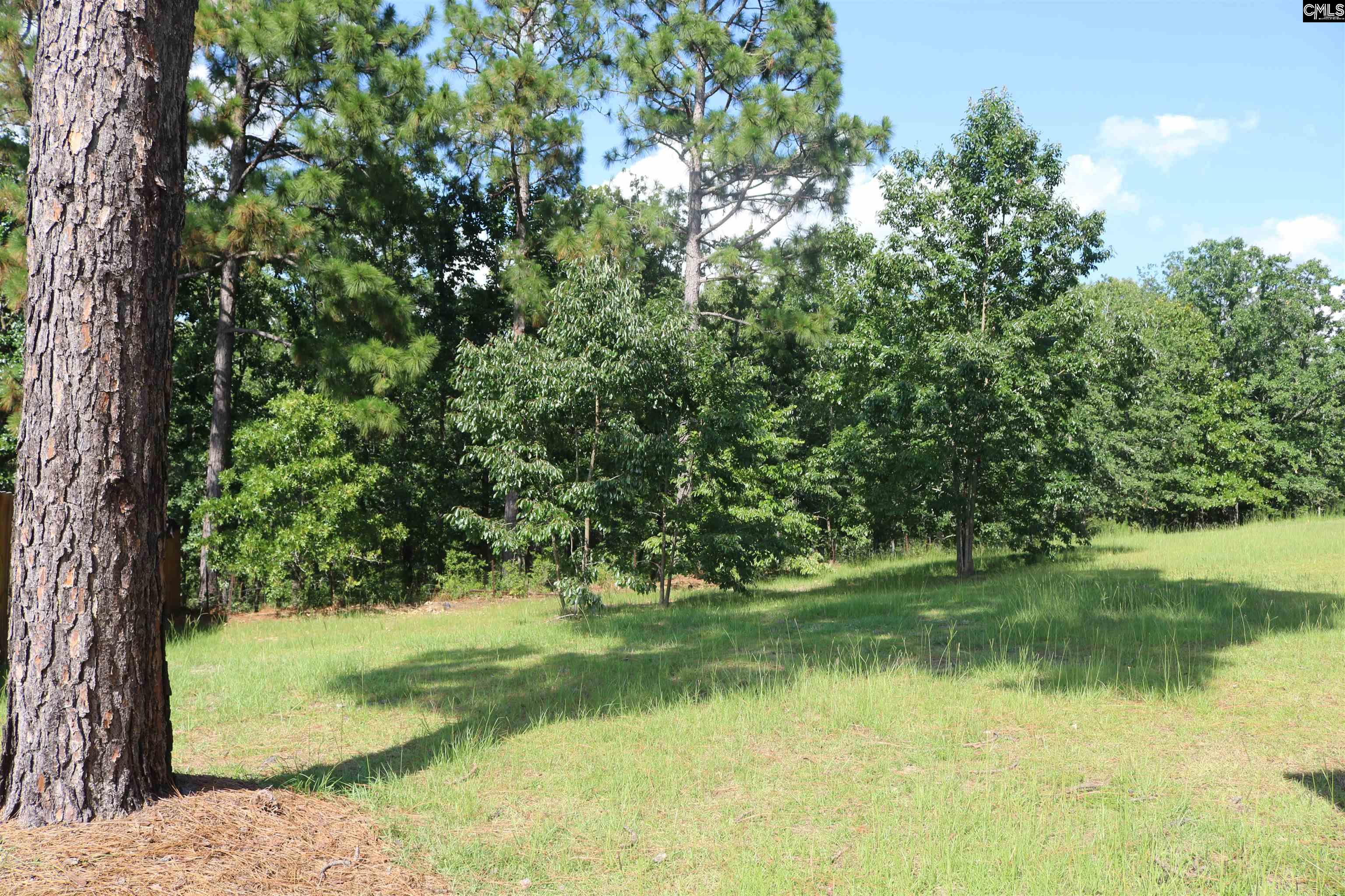 882 Heartleaf Drive, Columbia, South Carolina image 44