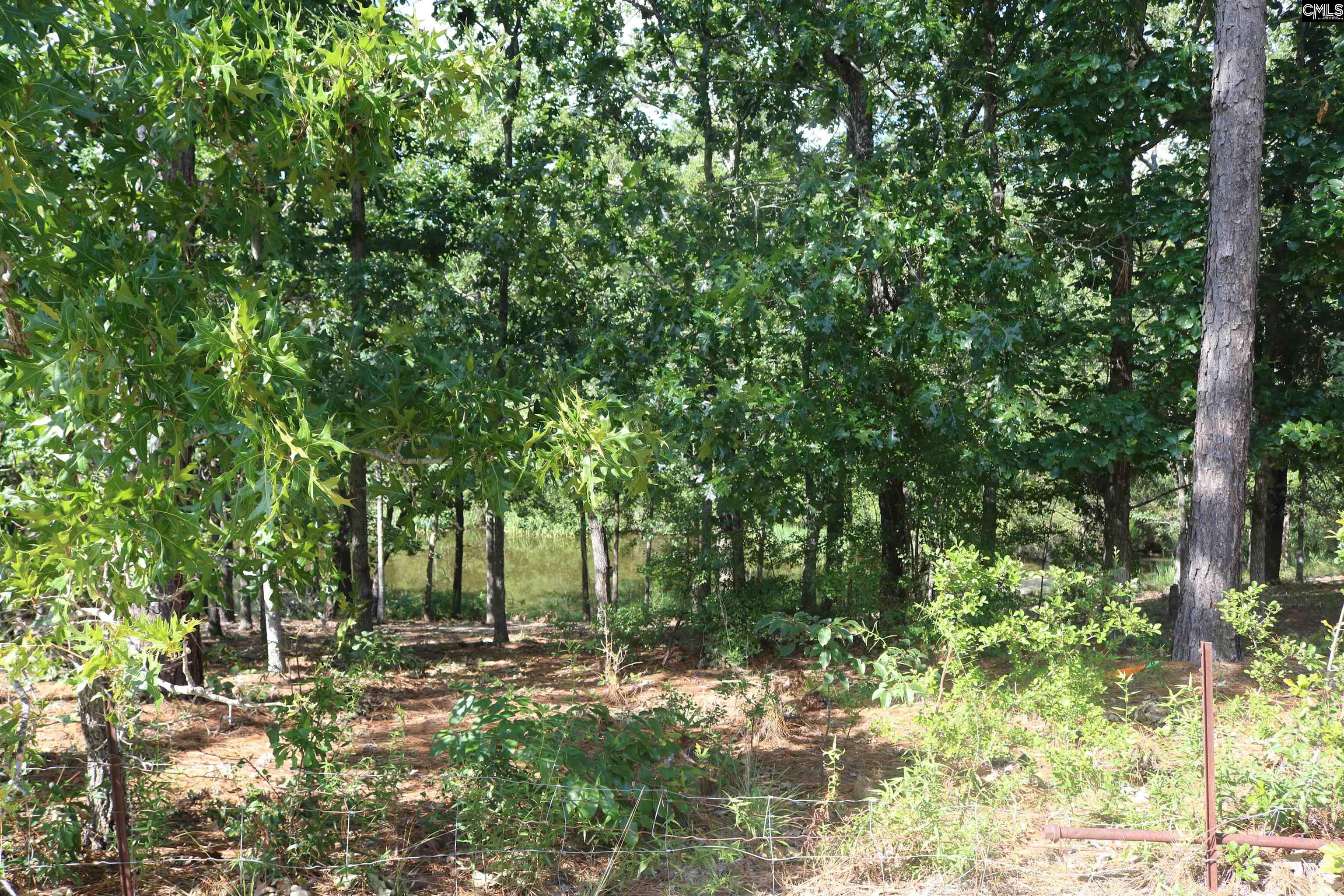 882 Heartleaf Drive, Columbia, South Carolina image 46