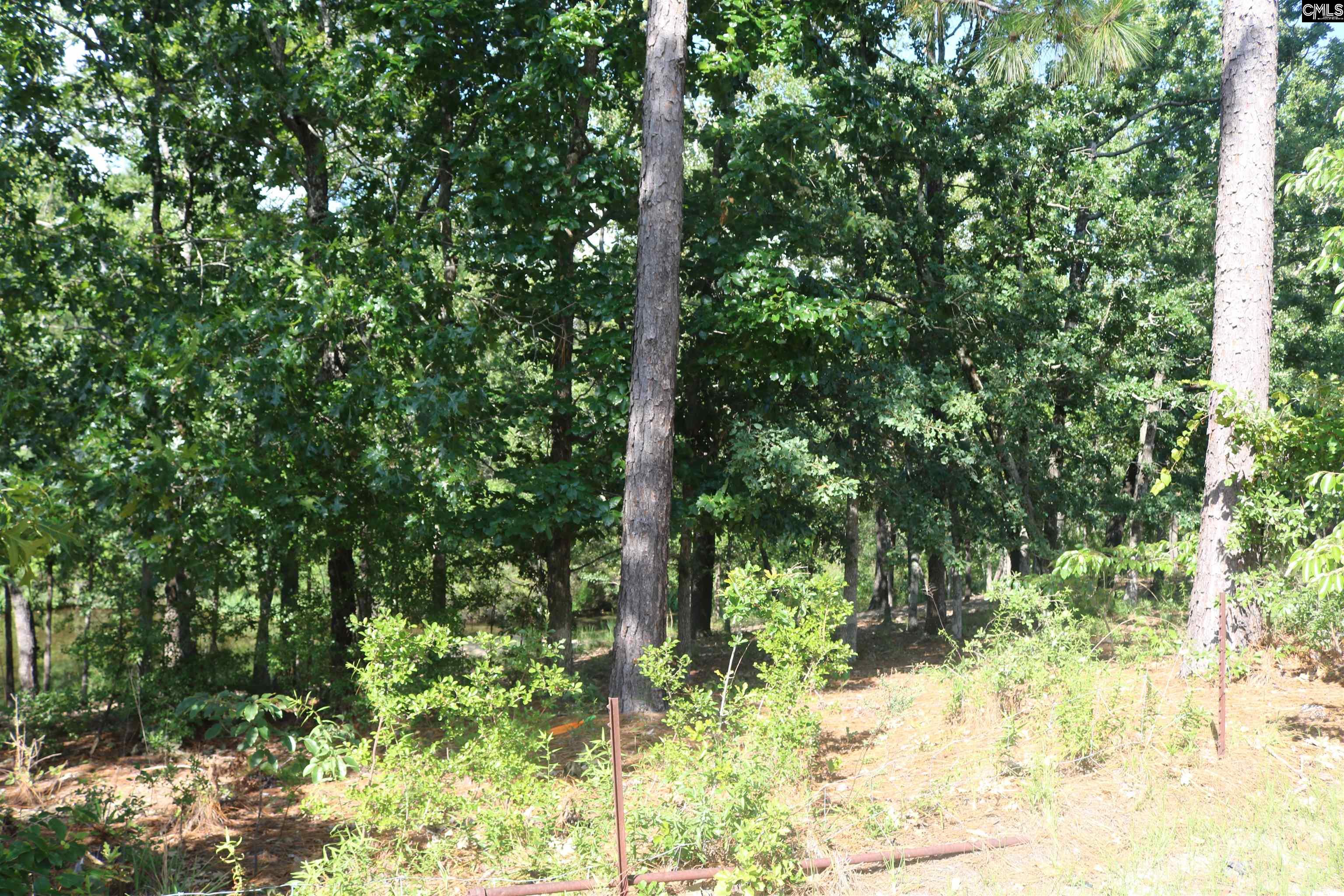 882 Heartleaf Drive, Columbia, South Carolina image 47