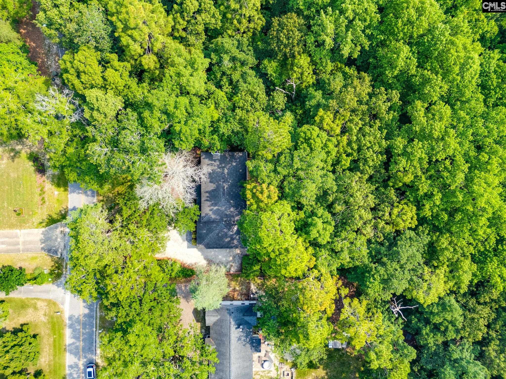 2214 Elkridge Drive, Camden, South Carolina image 48