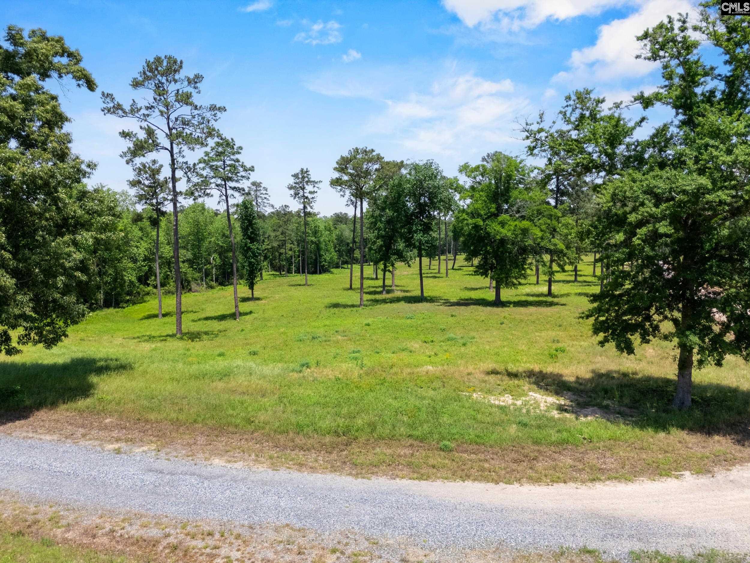 1626-02 Sumter Highway #LOT 2, Rembert, South Carolina image 1