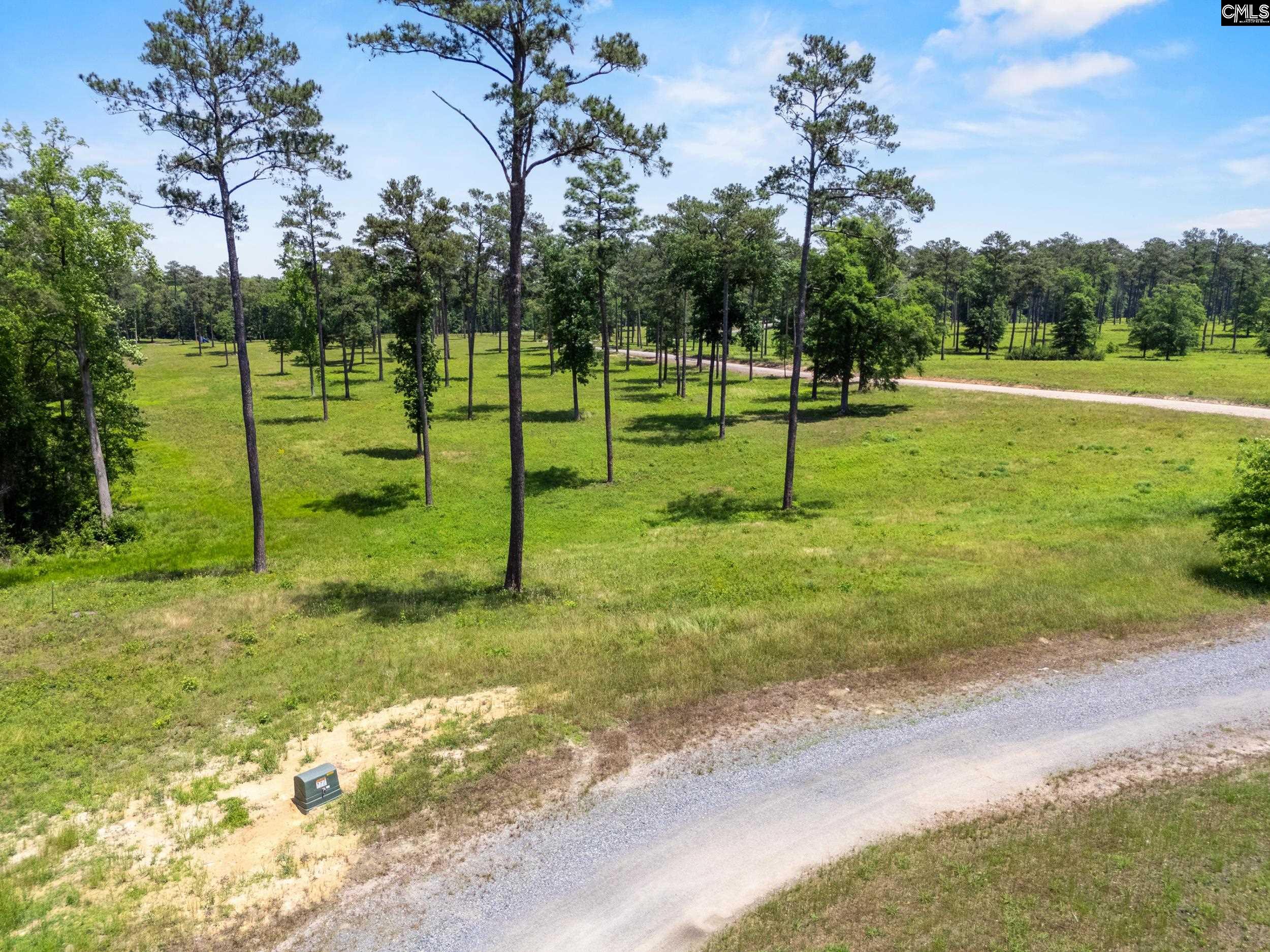 1626-02 Sumter Highway #LOT 2, Rembert, South Carolina image 5