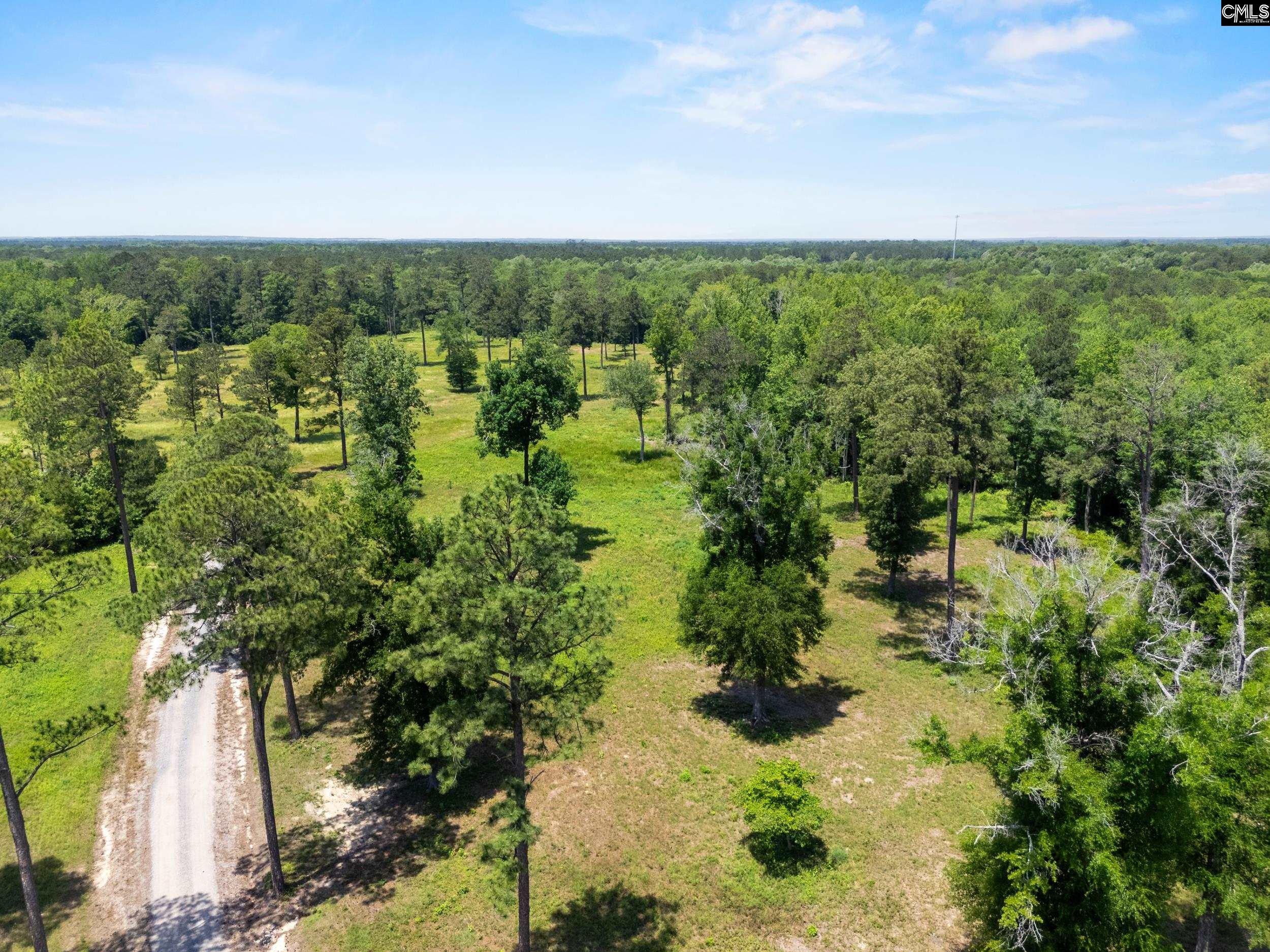 1626-02 Sumter Highway #LOT 2, Rembert, South Carolina image 6