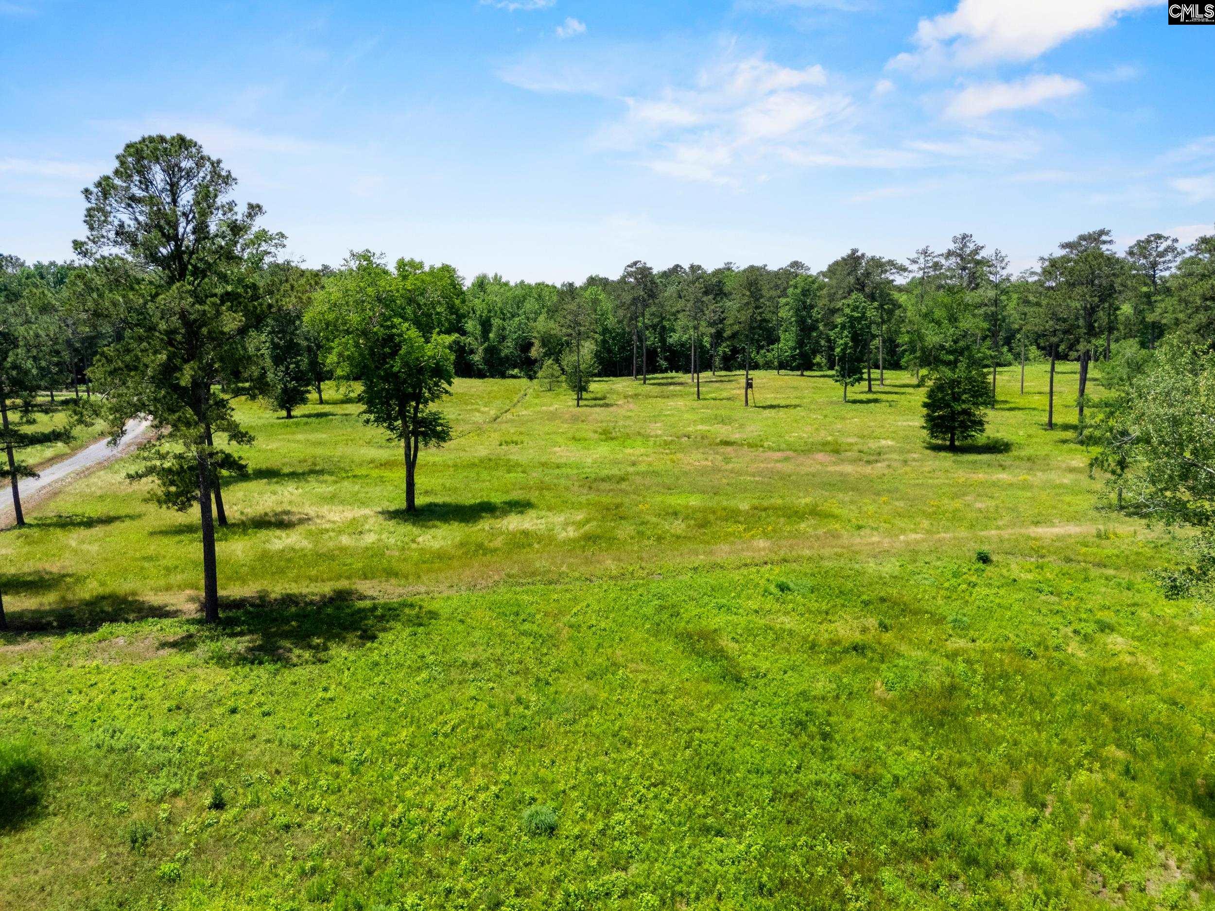 1626-02 Sumter Highway #LOT 2, Rembert, South Carolina image 7