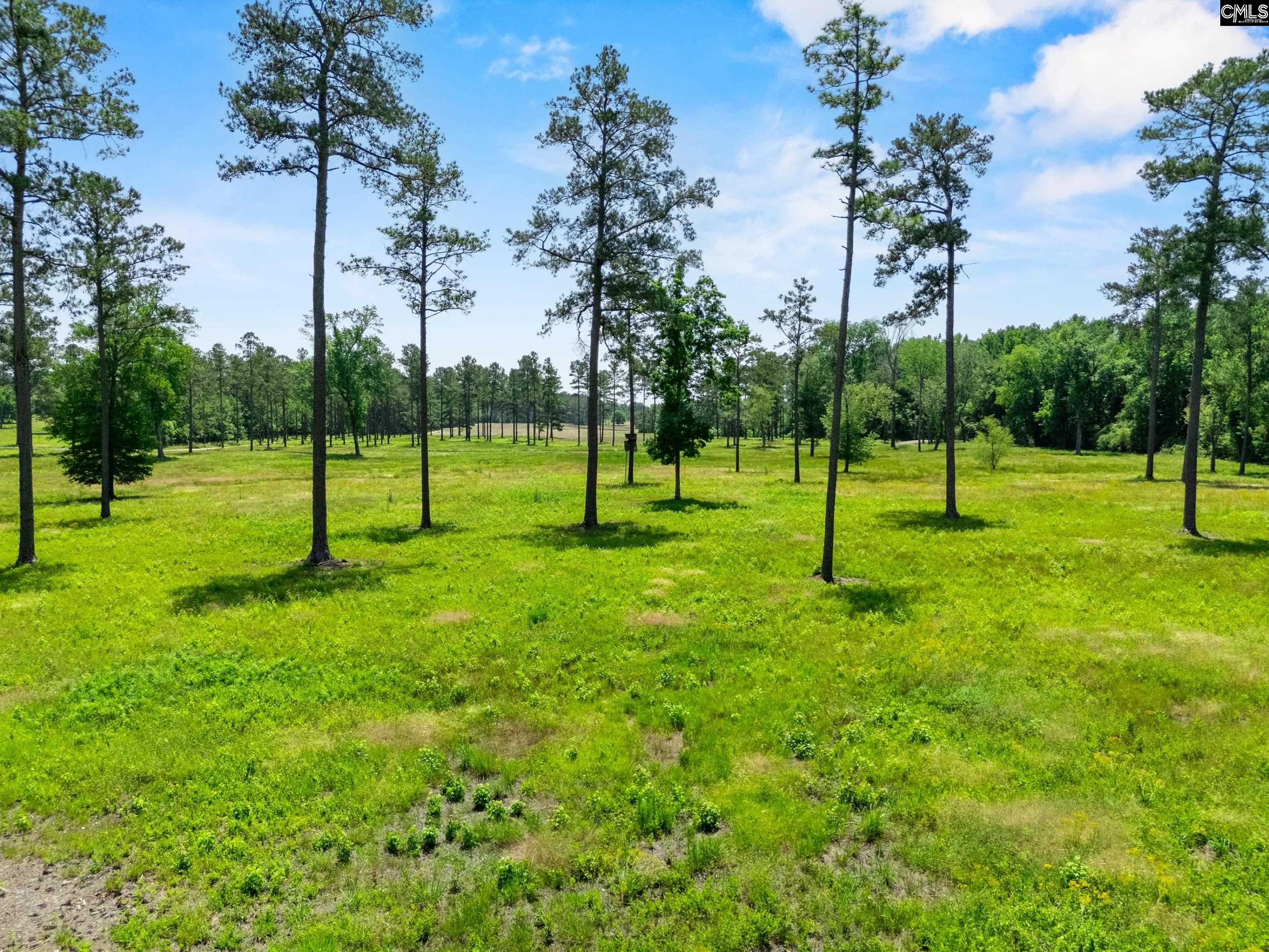 1626-02 Sumter Highway #LOT 2, Rembert, South Carolina image 8