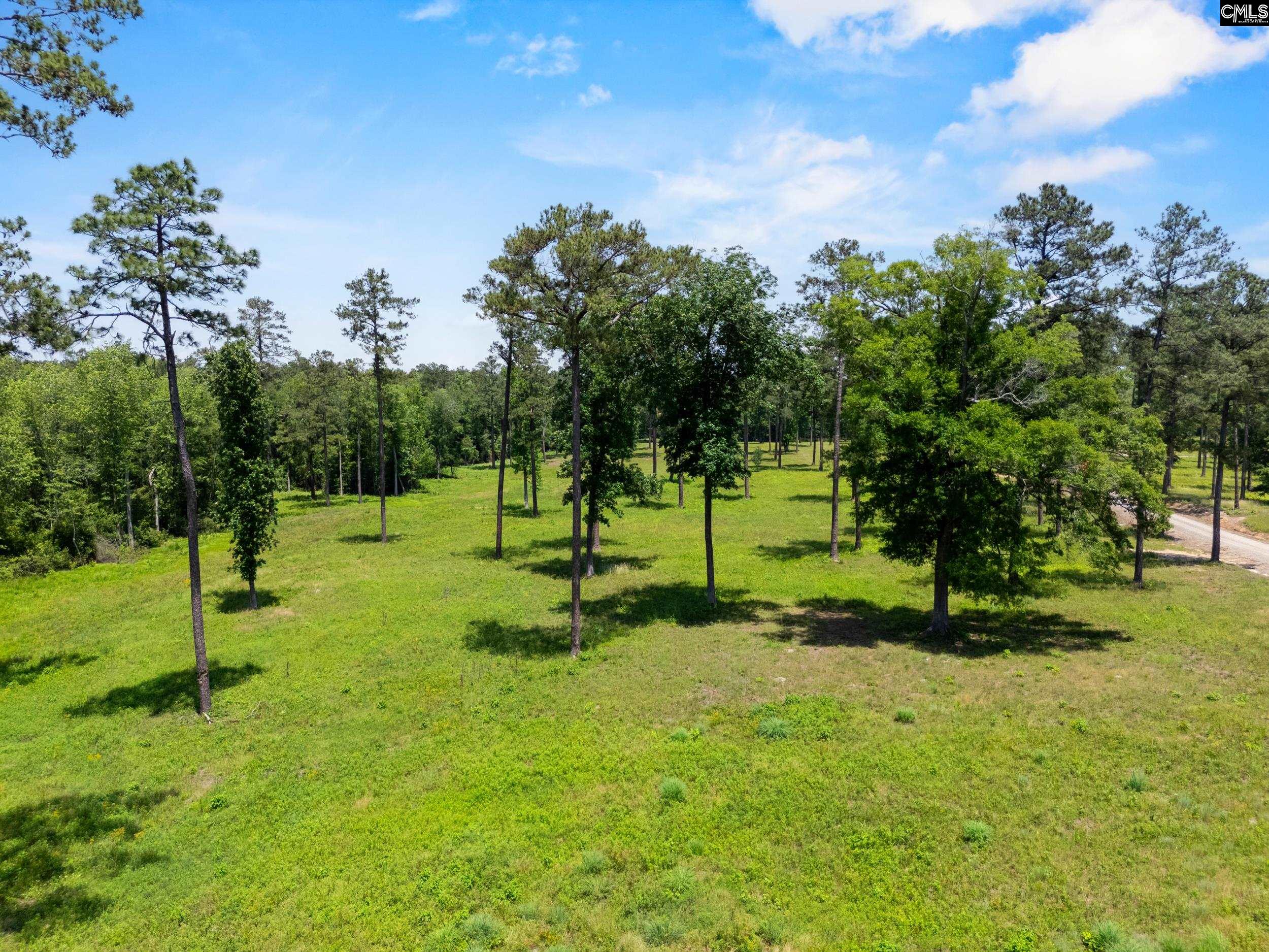 1626-02 Sumter Highway #LOT 2, Rembert, South Carolina image 2