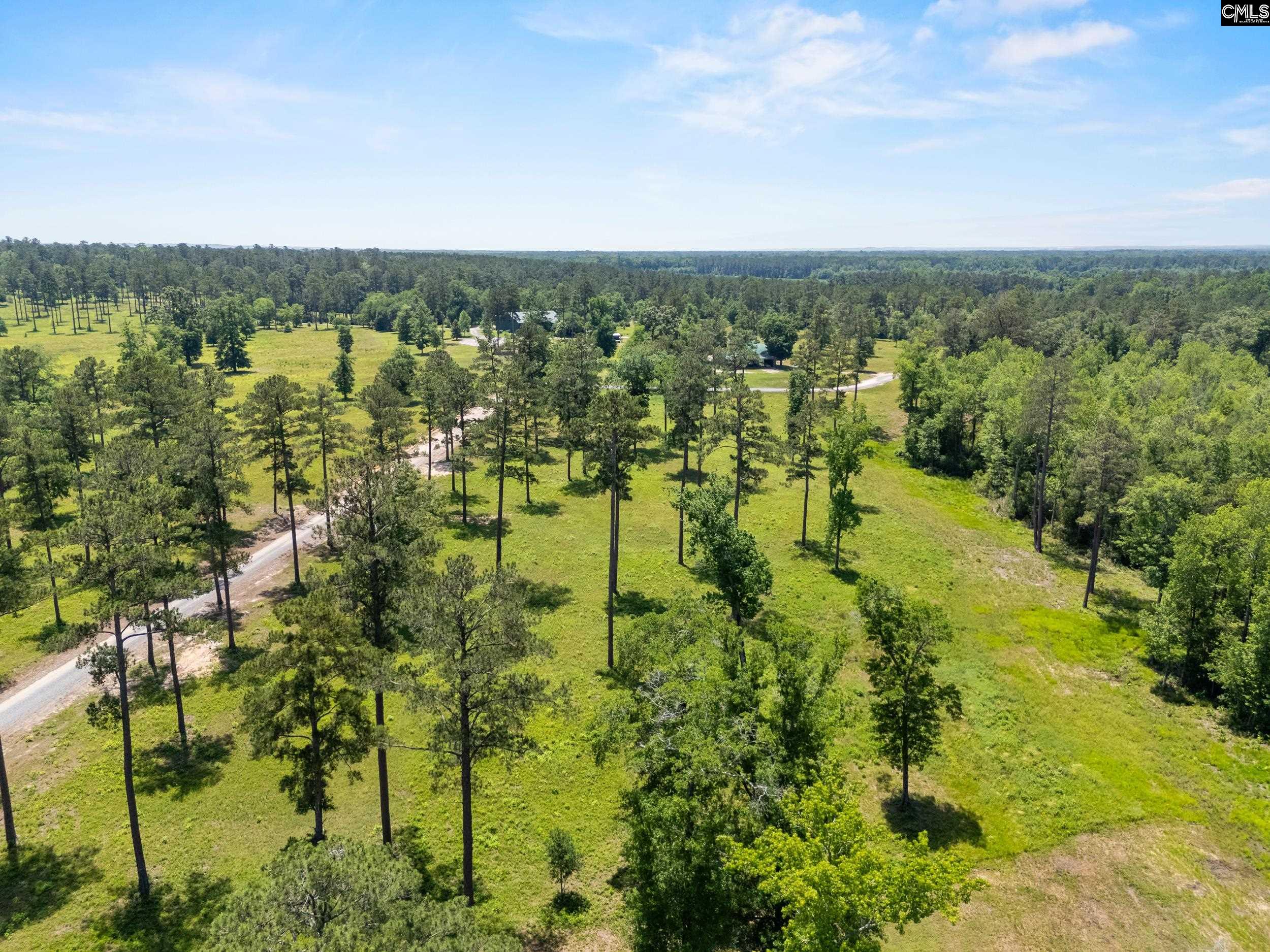 1626-02 Sumter Highway #LOT 2, Rembert, South Carolina image 3