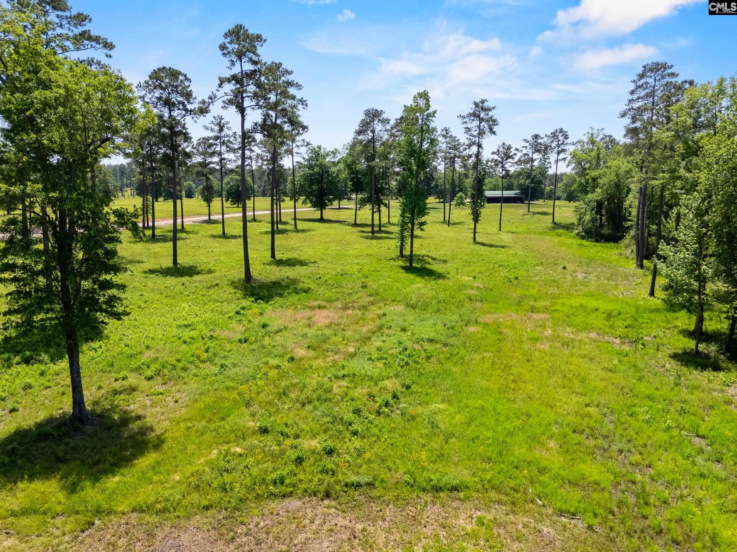 1626-02 Sumter Highway #LOT 2, Rembert, South Carolina image 4