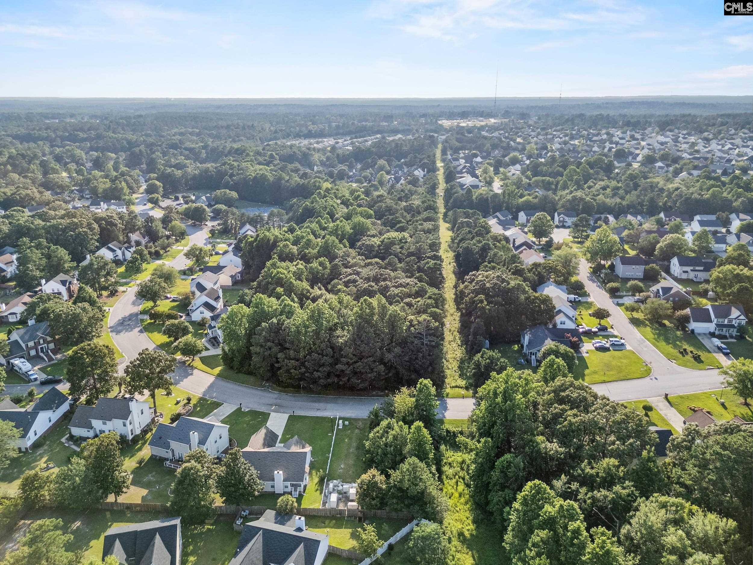 312 Alderston Way, Columbia, South Carolina image 14