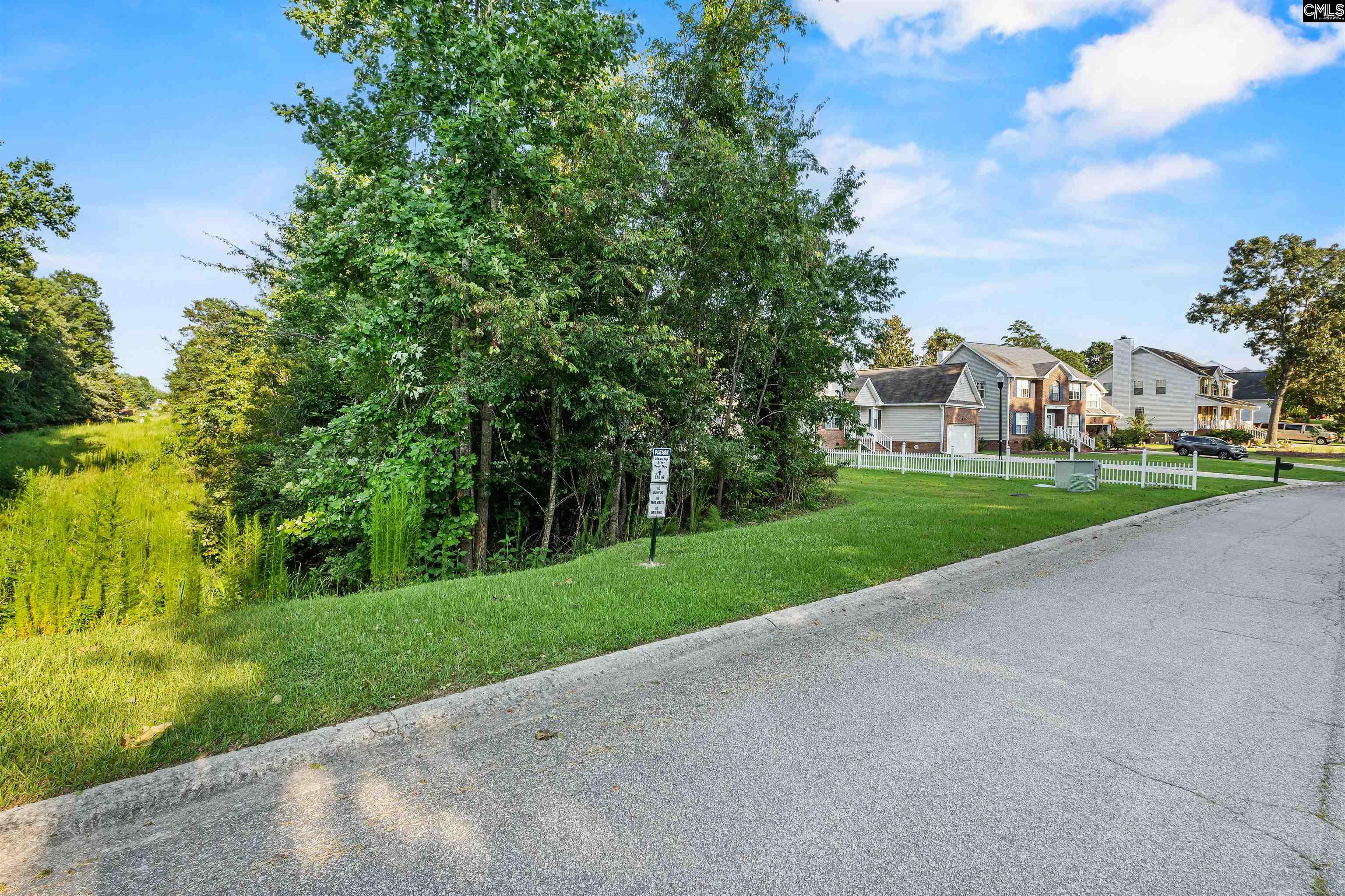 312 Alderston Way, Columbia, South Carolina image 6