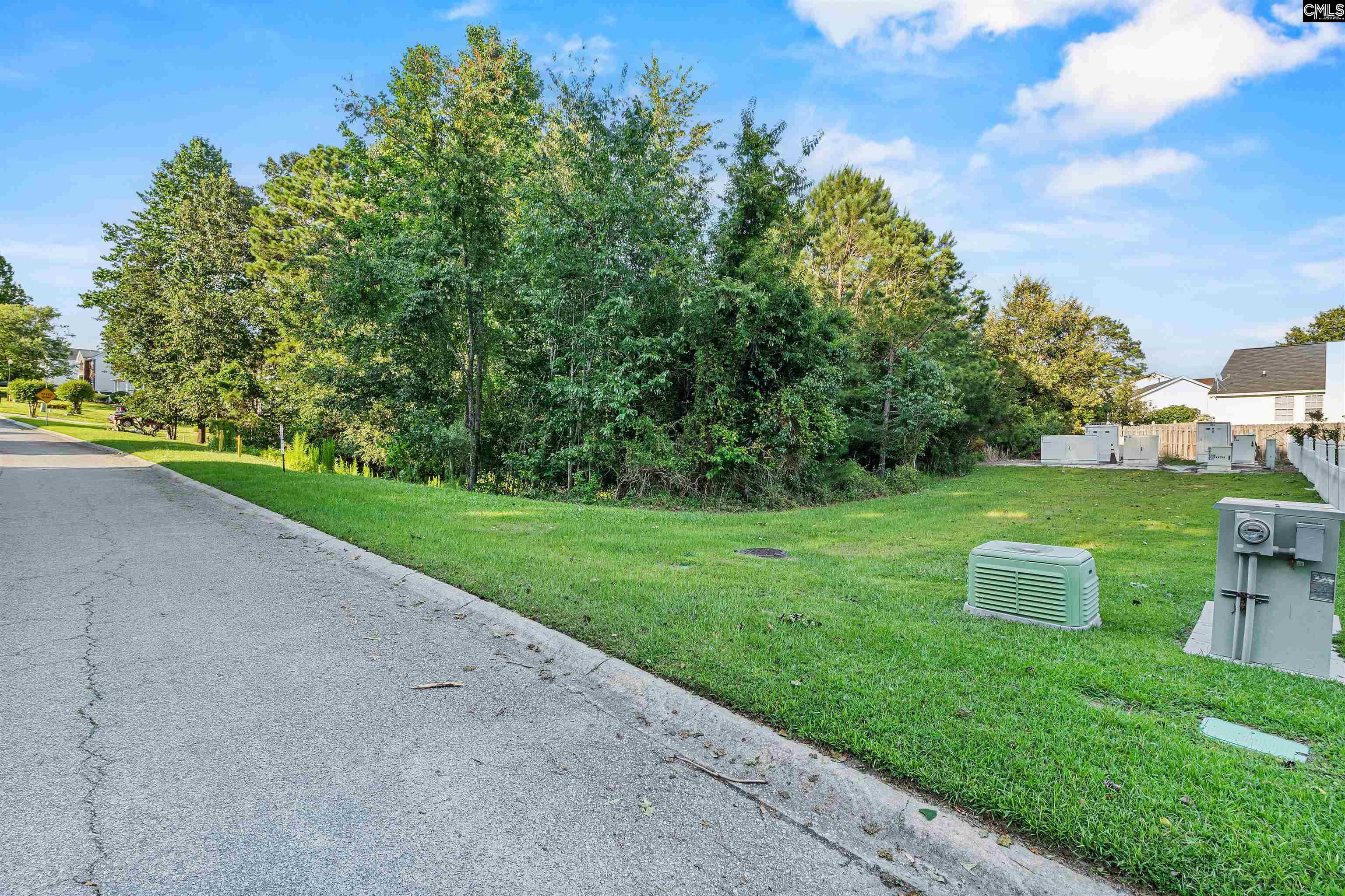 312 Alderston Way, Columbia, South Carolina image 8