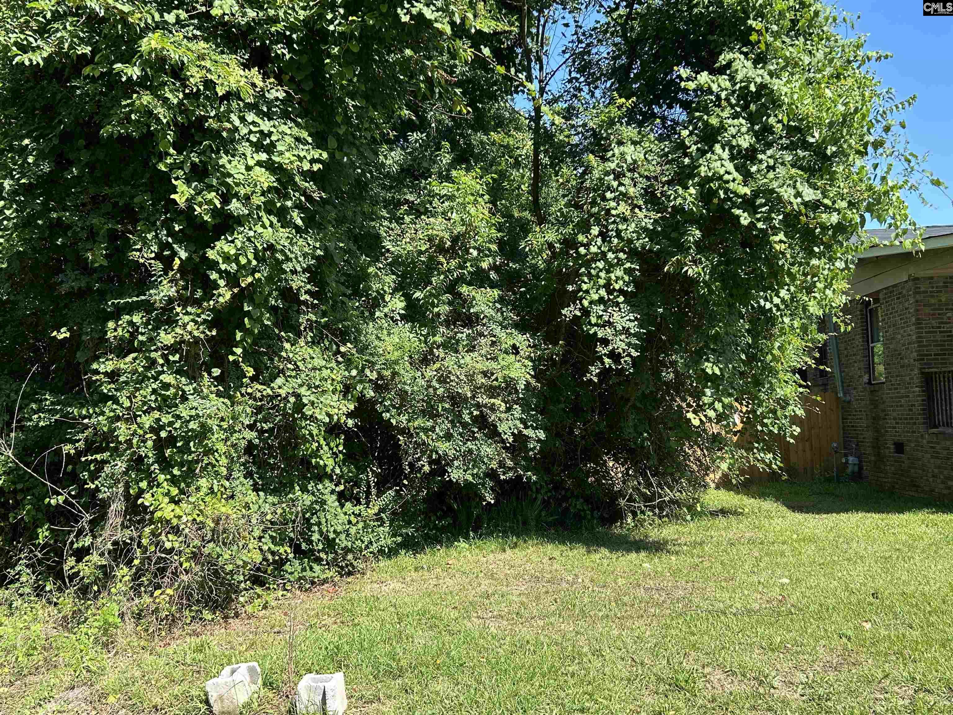2233 Joe Frazier, Columbia, South Carolina image 2