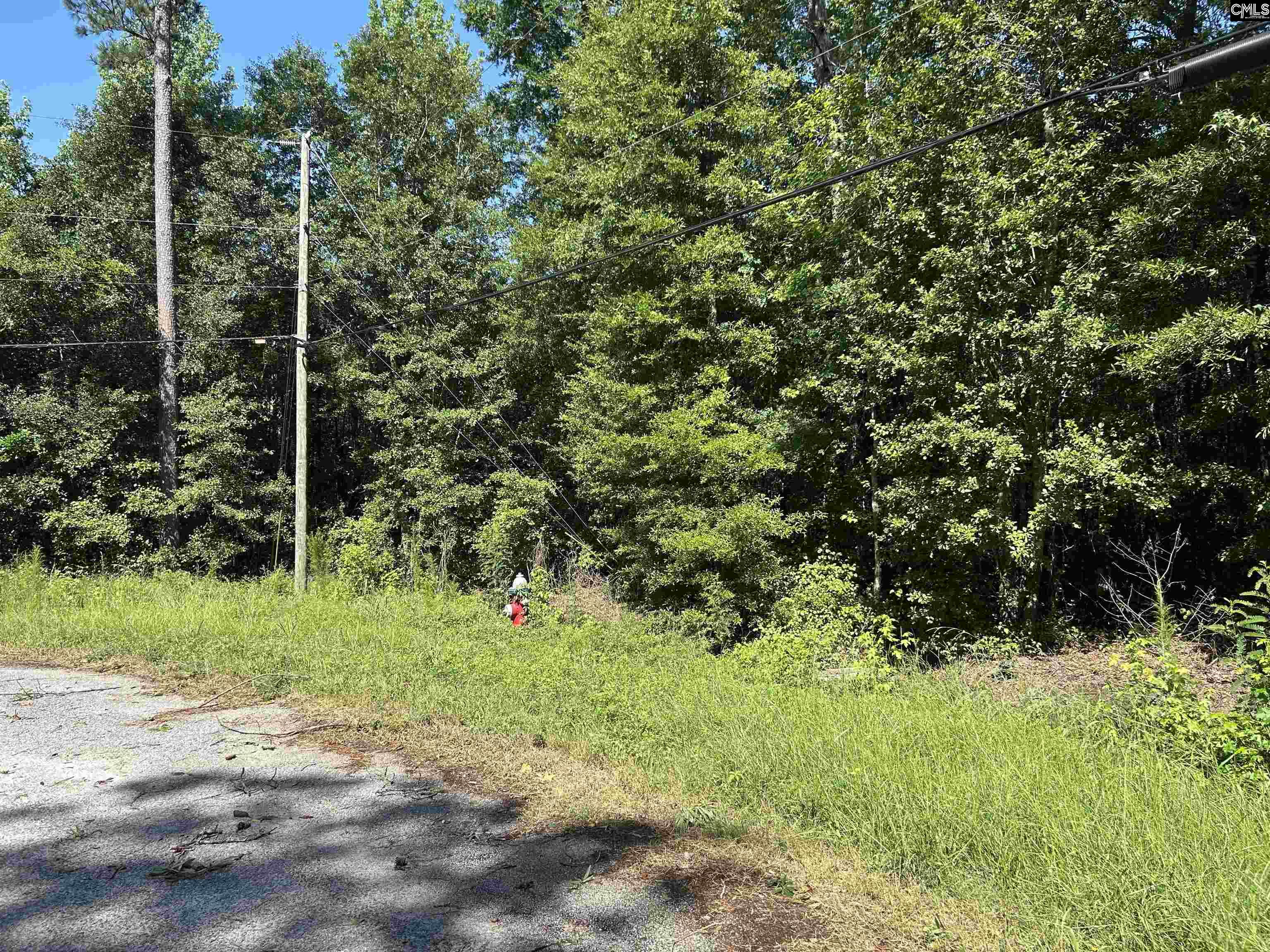 2233 Joe Frazier, Columbia, South Carolina image 5