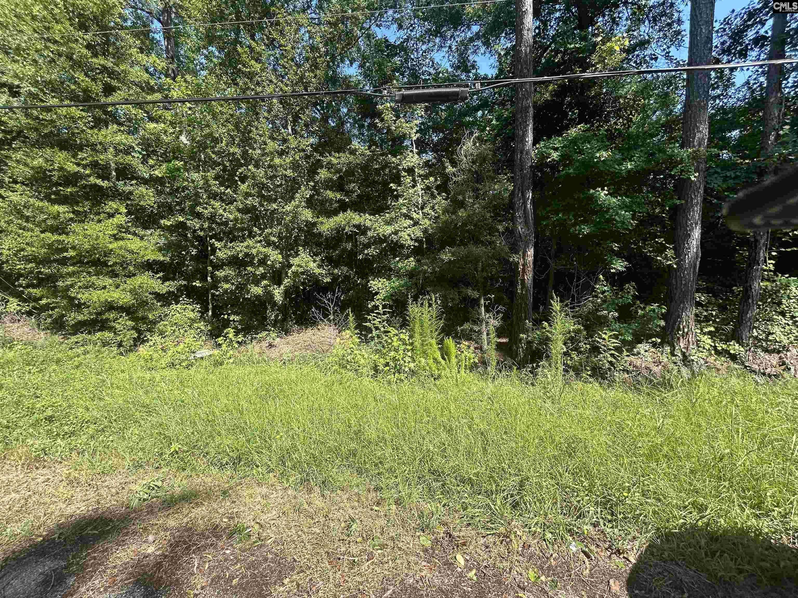 2233 Joe Frazier, Columbia, South Carolina image 6