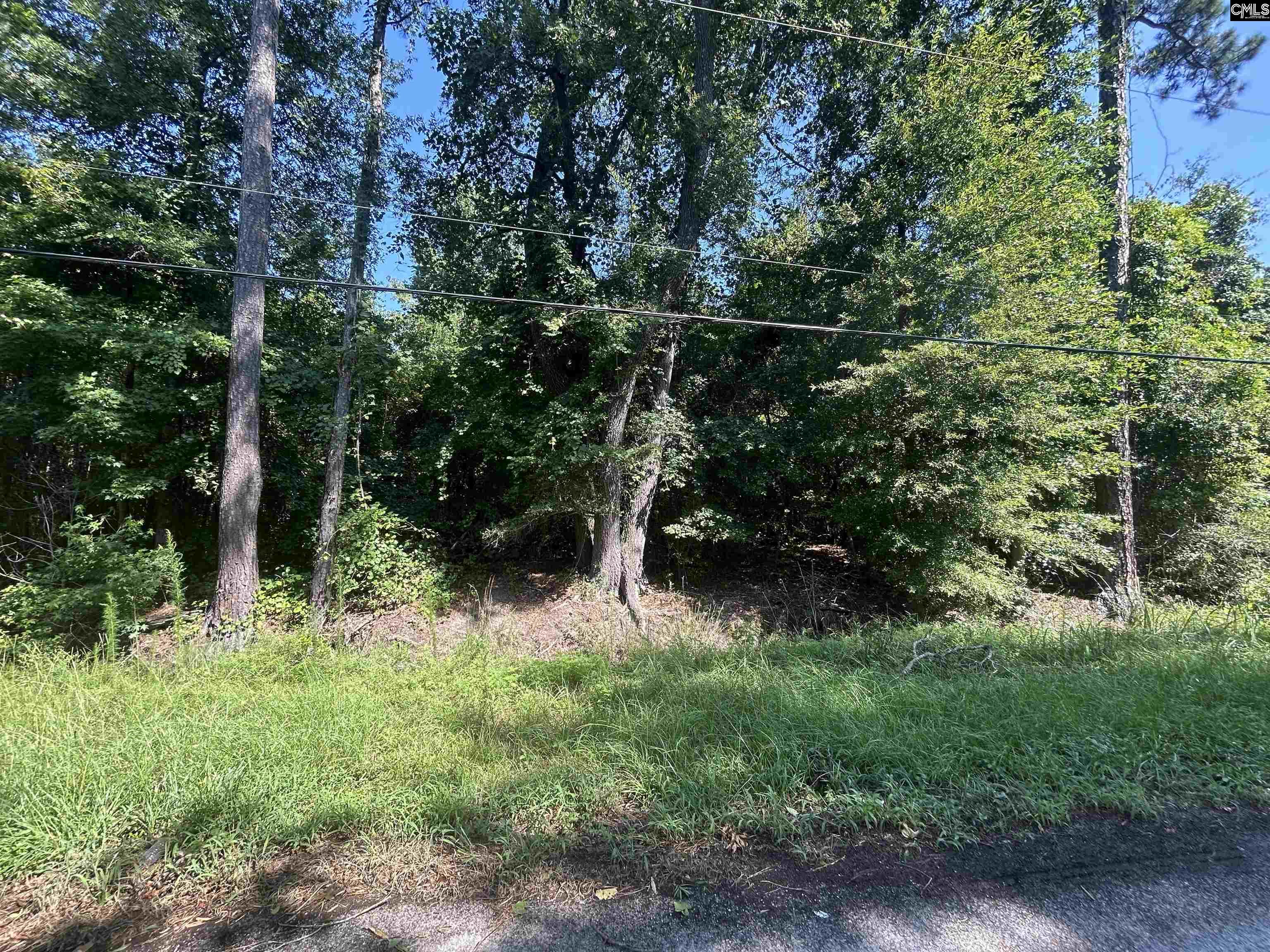 2233 Joe Frazier, Columbia, South Carolina image 7
