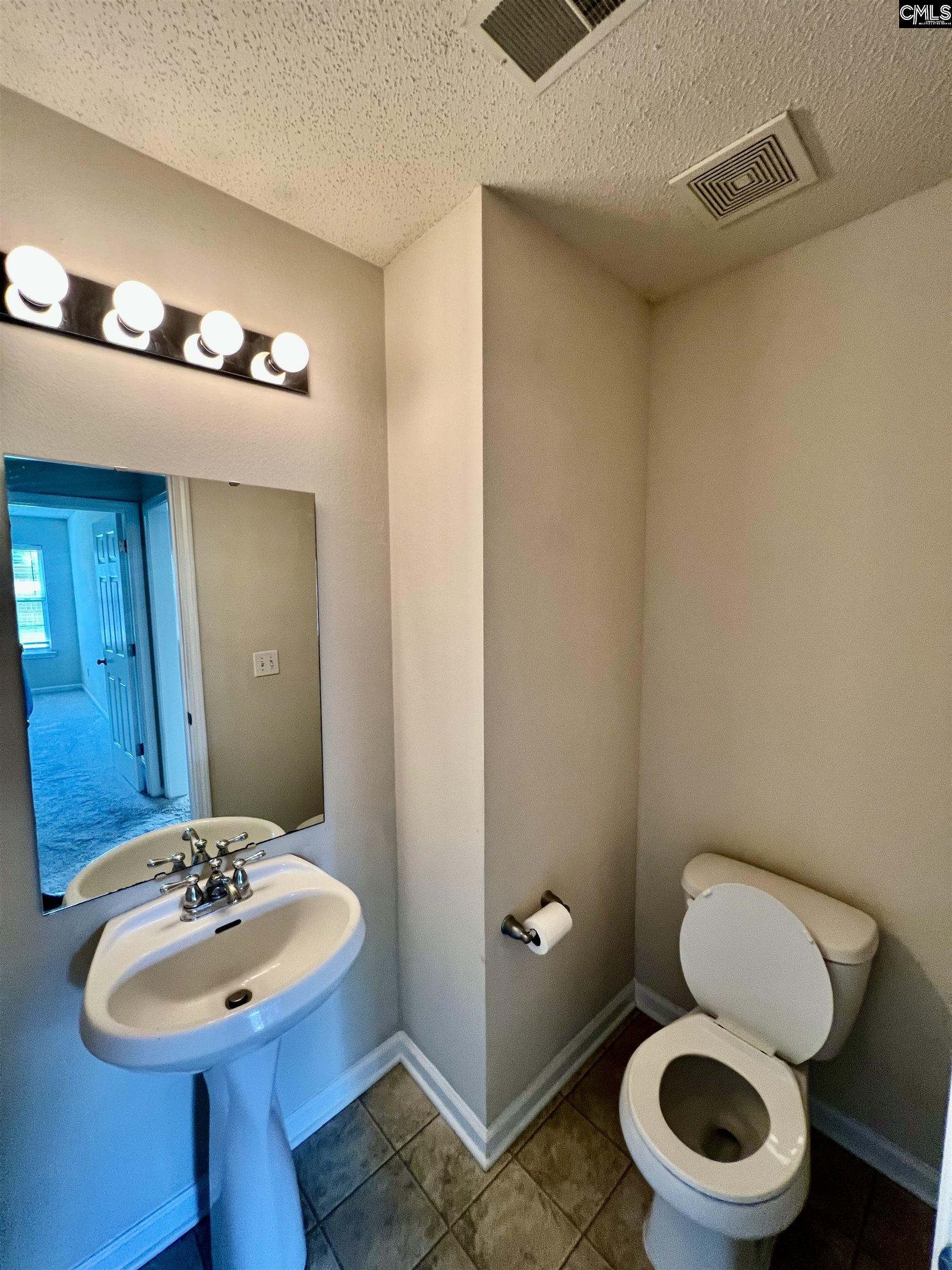 141 Spring Frost Drive, Lexington, South Carolina image 11