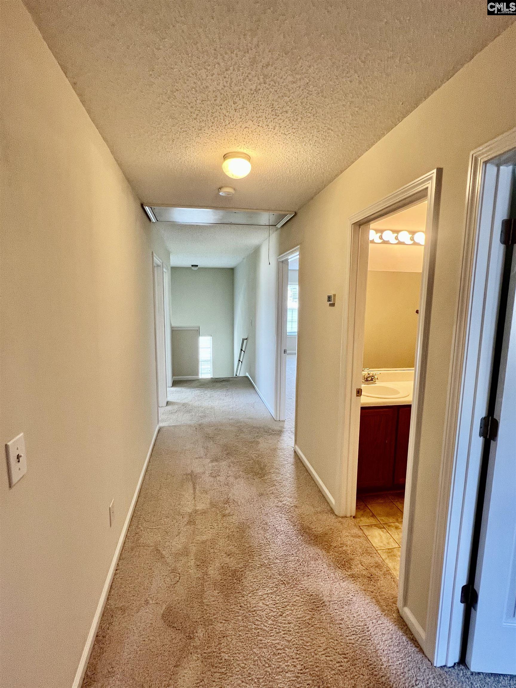 141 Spring Frost Drive, Lexington, South Carolina image 22