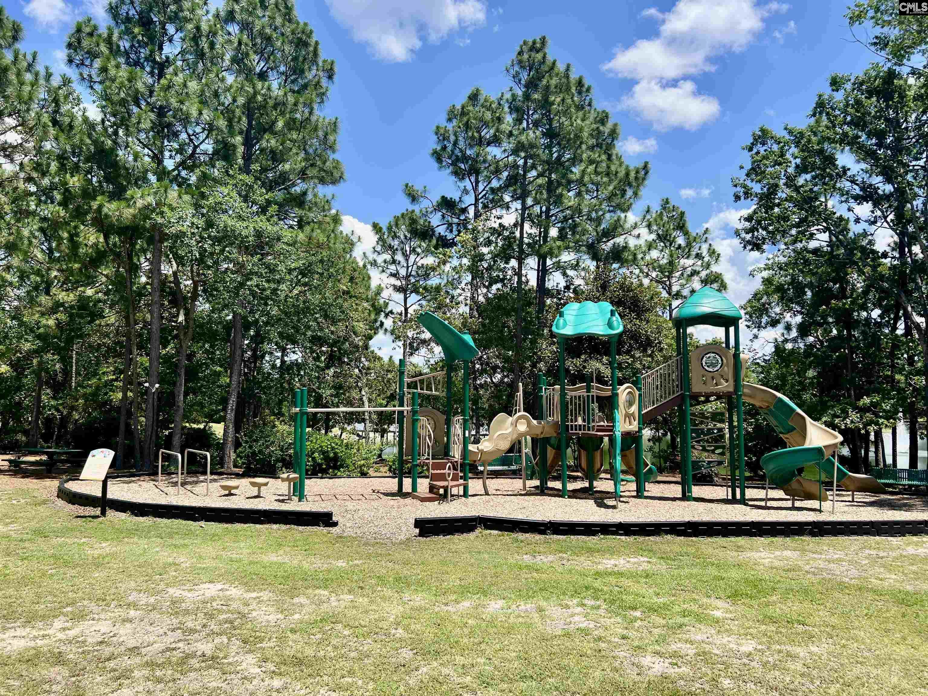 141 Spring Frost Drive, Lexington, South Carolina image 29