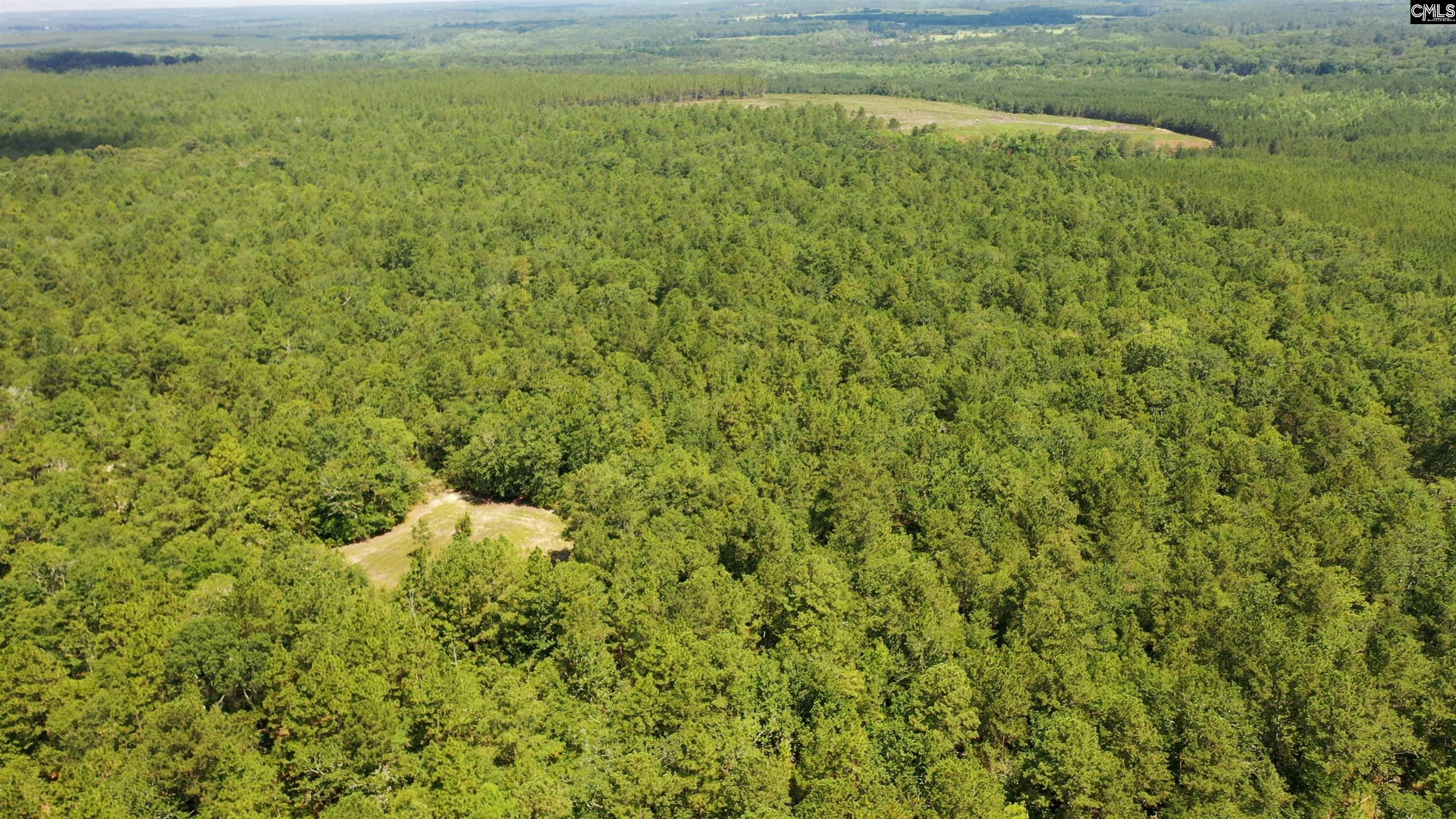 Huckleberry Finn Road Batesburg, SC 29006