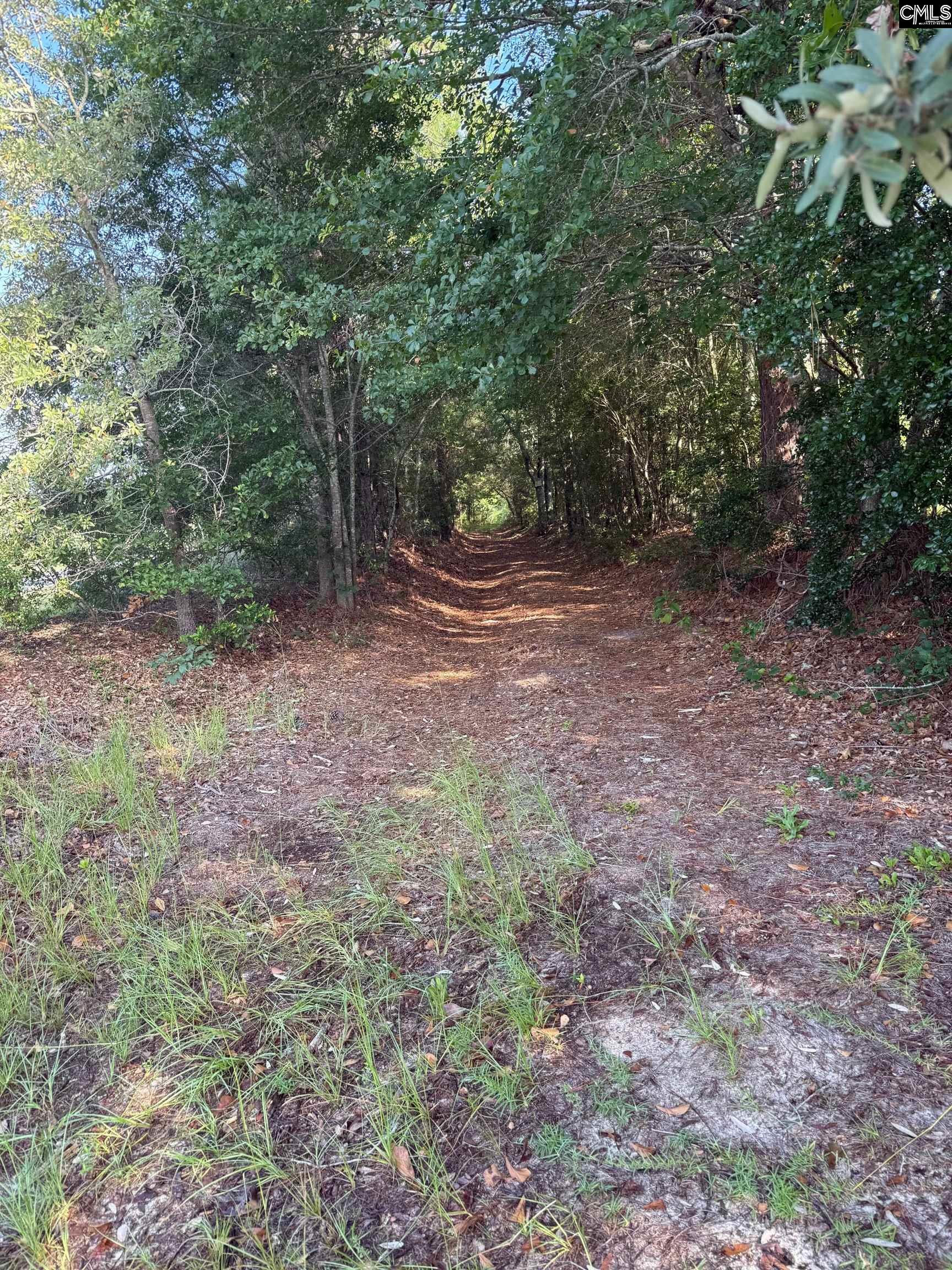 Huckleberry Finn Road, Batesburg, South Carolina image 5