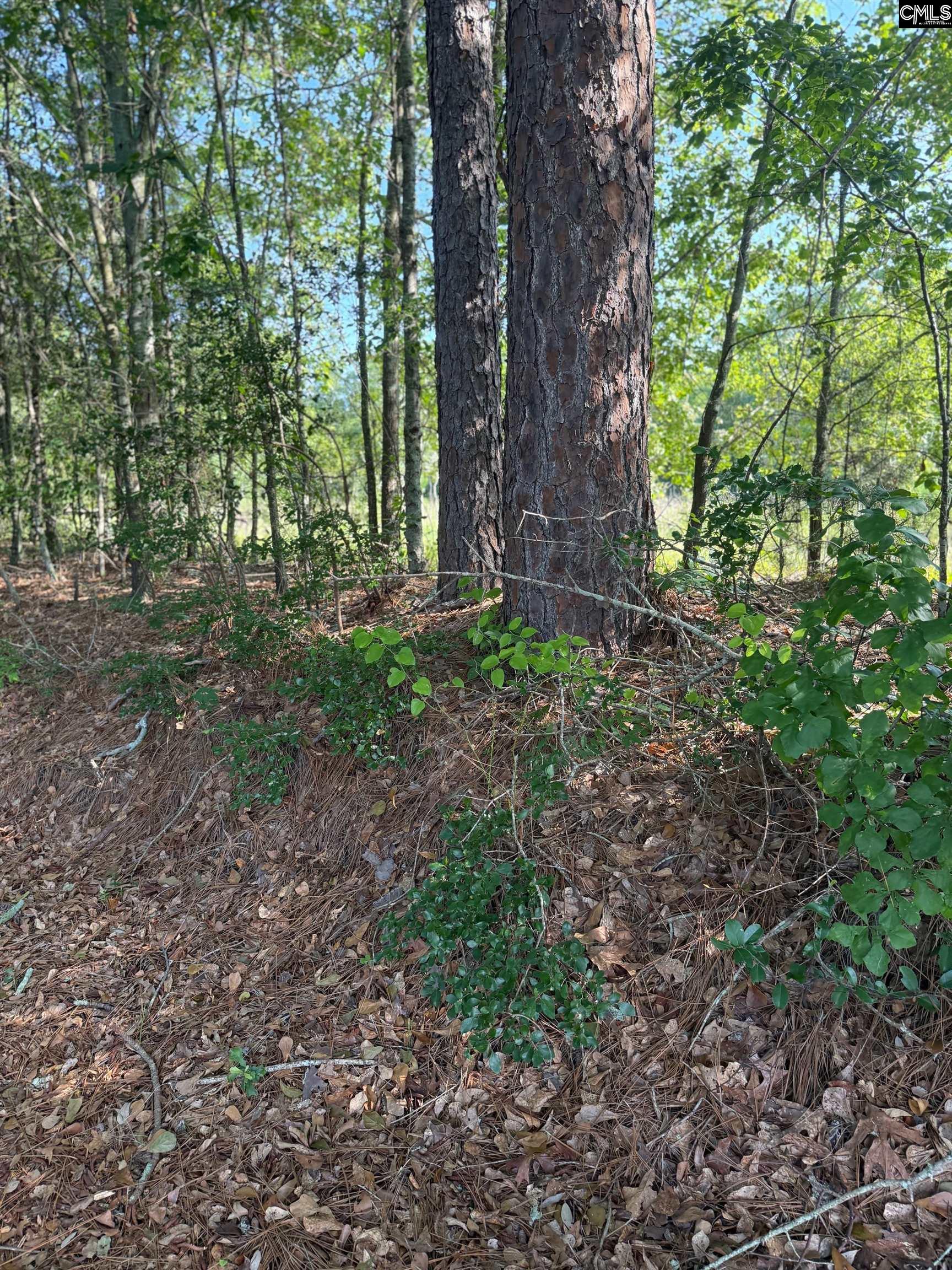 Huckleberry Finn Road Batesburg, SC 29006