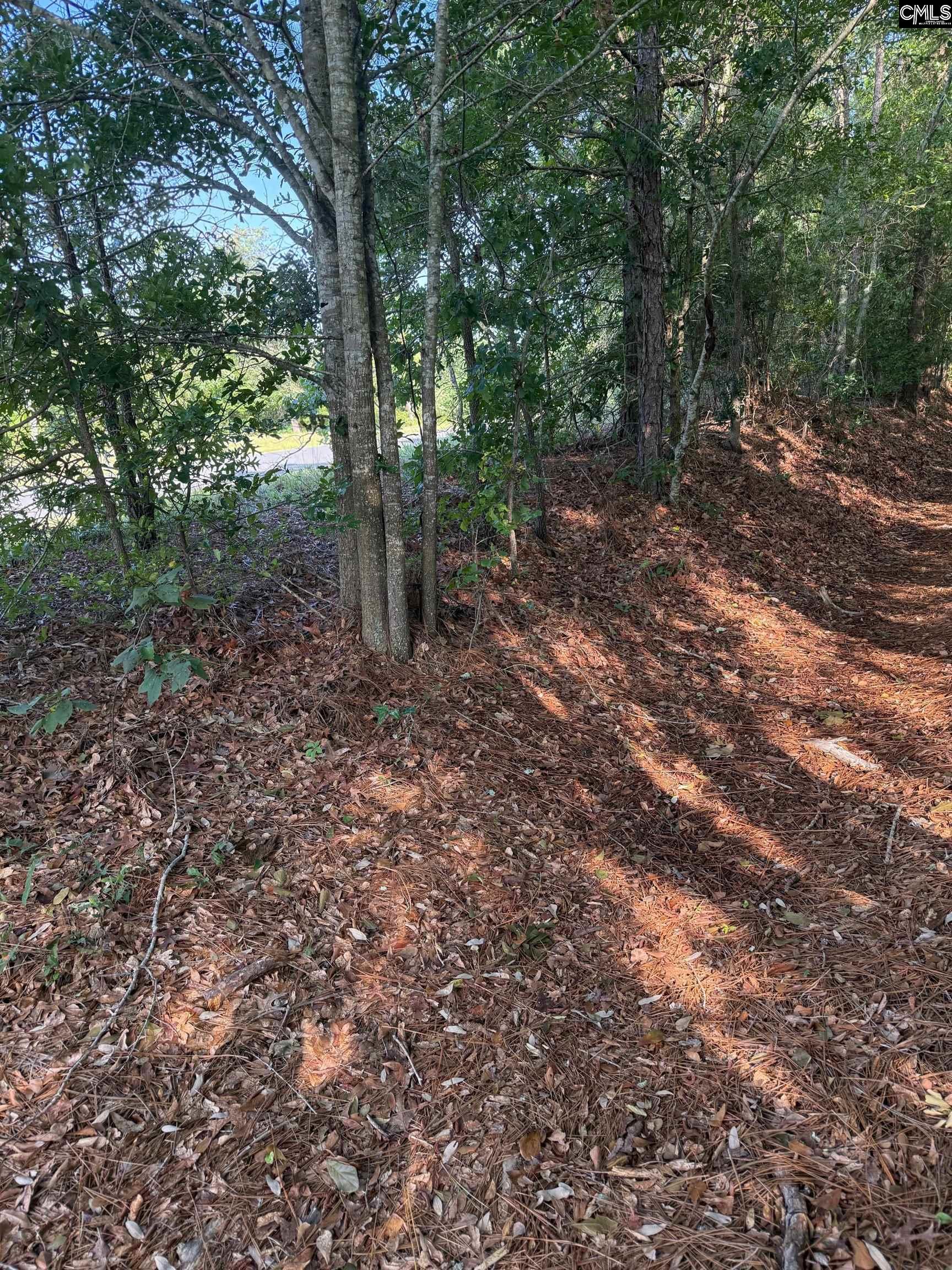 Huckleberry Finn Road, Batesburg, South Carolina image 7