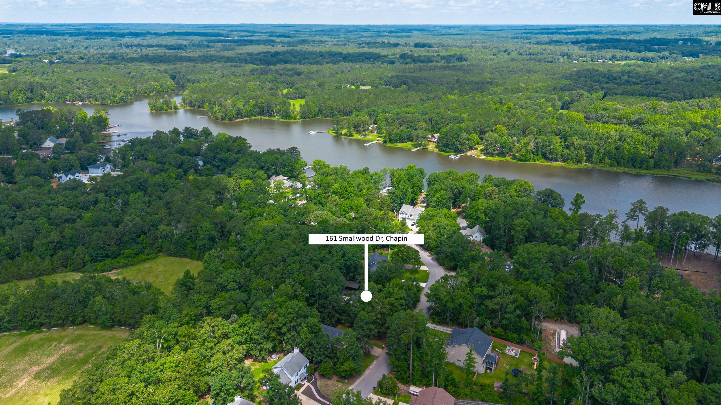 161 Smallwood Drive, Chapin, South Carolina image 2
