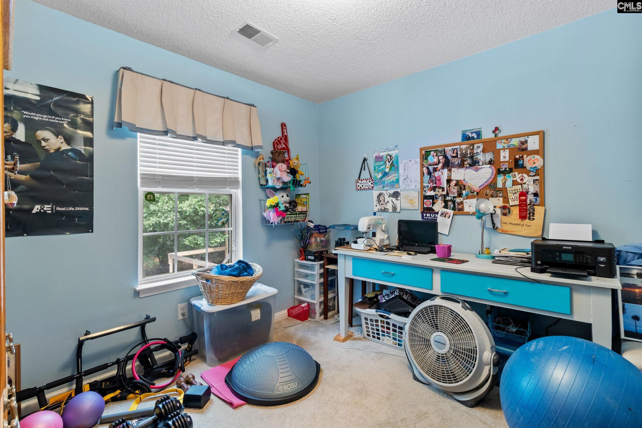 161 Smallwood Drive, Chapin, South Carolina image 11