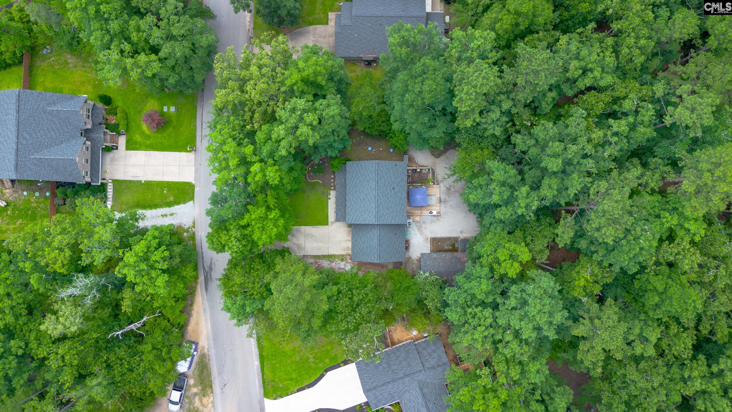 161 Smallwood Drive, Chapin, South Carolina image 19