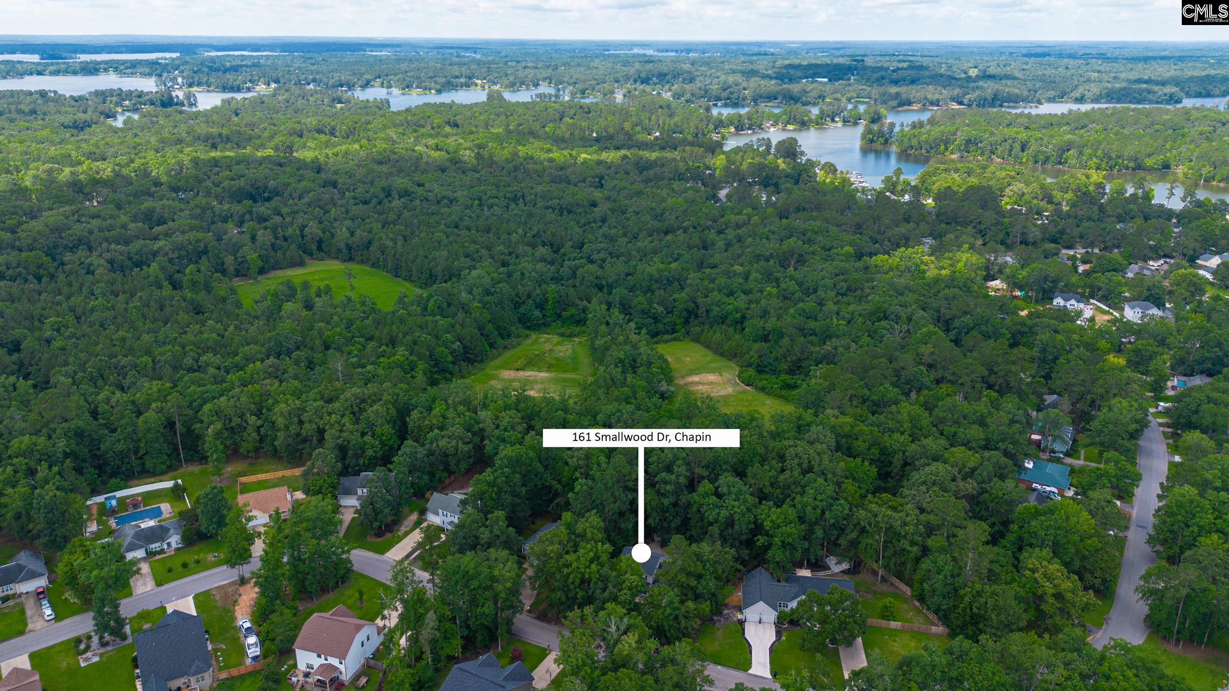 161 Smallwood Drive, Chapin, South Carolina image 20